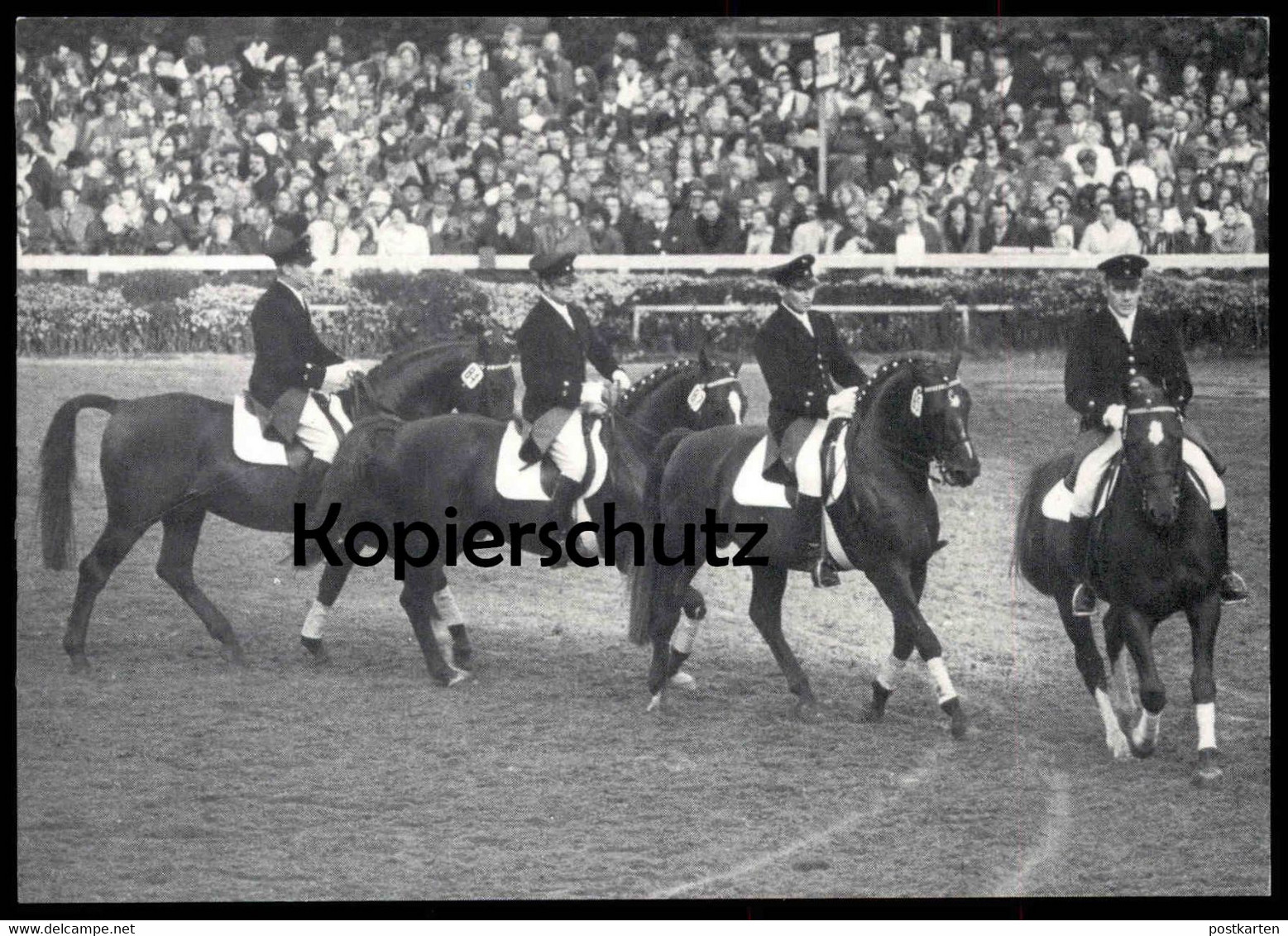 ALTE POSTKARTE HENGSTPARADE LANDGESTÜT WARENDORF Hengst Pferde Horses Horse Pferd Postcard Cpa Ansichtskarte Reitsport - Warendorf