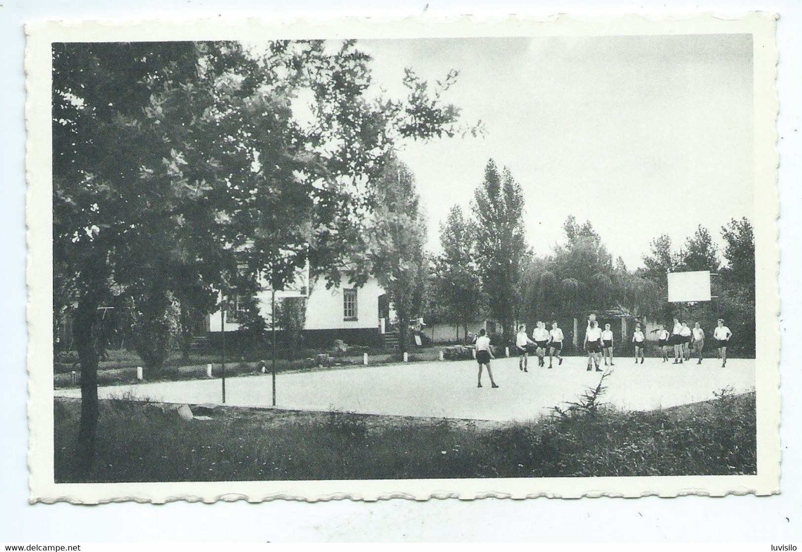 Lichtaart Heide Heem ( Terrain De Basket Ball ) - Kasterlee