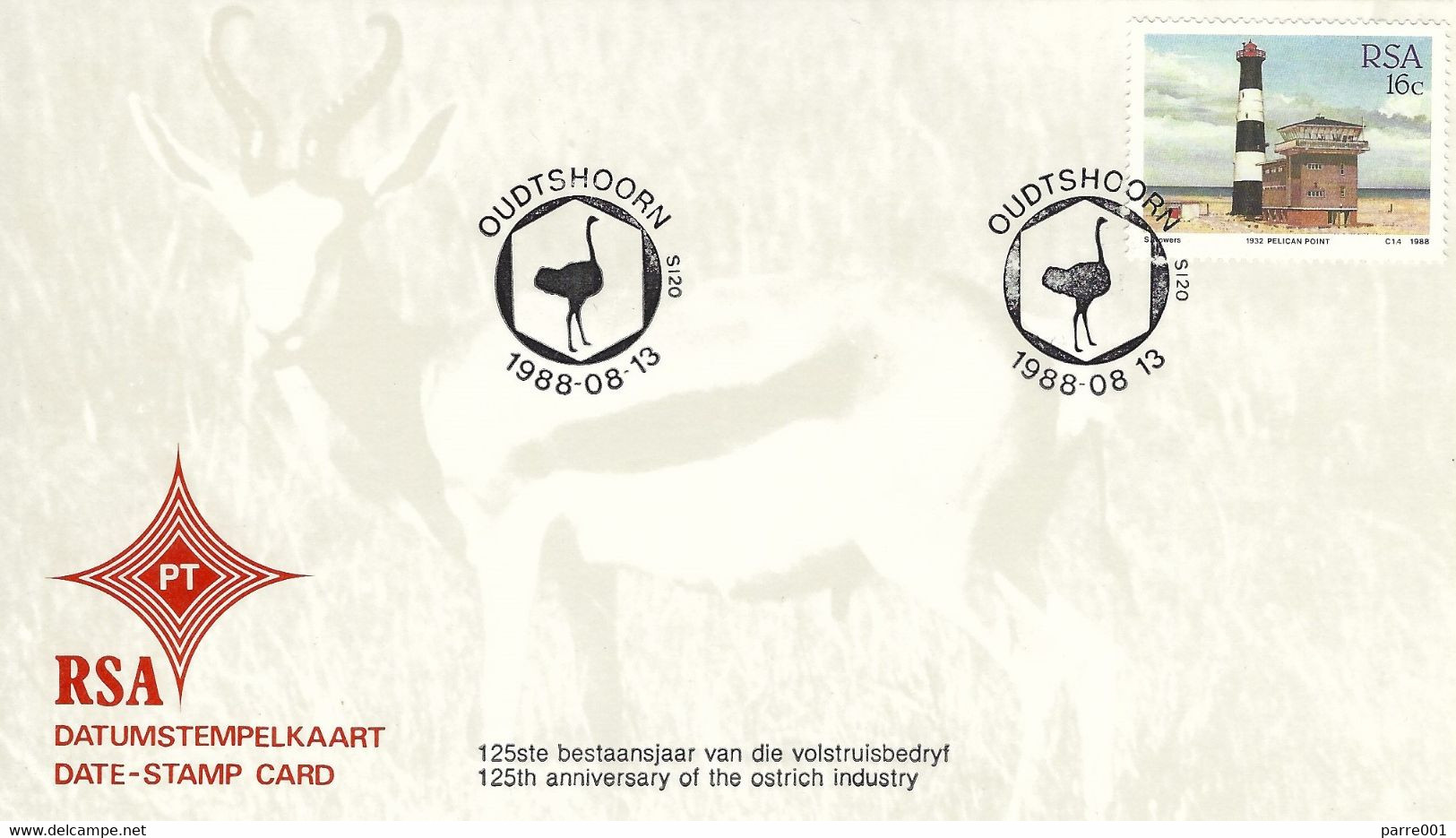 RSA South Africa 1988 Oudtshoorn Ostrich Farming Industry Lighthouse Pelican Point Card - Straussen- Und Laufvögel
