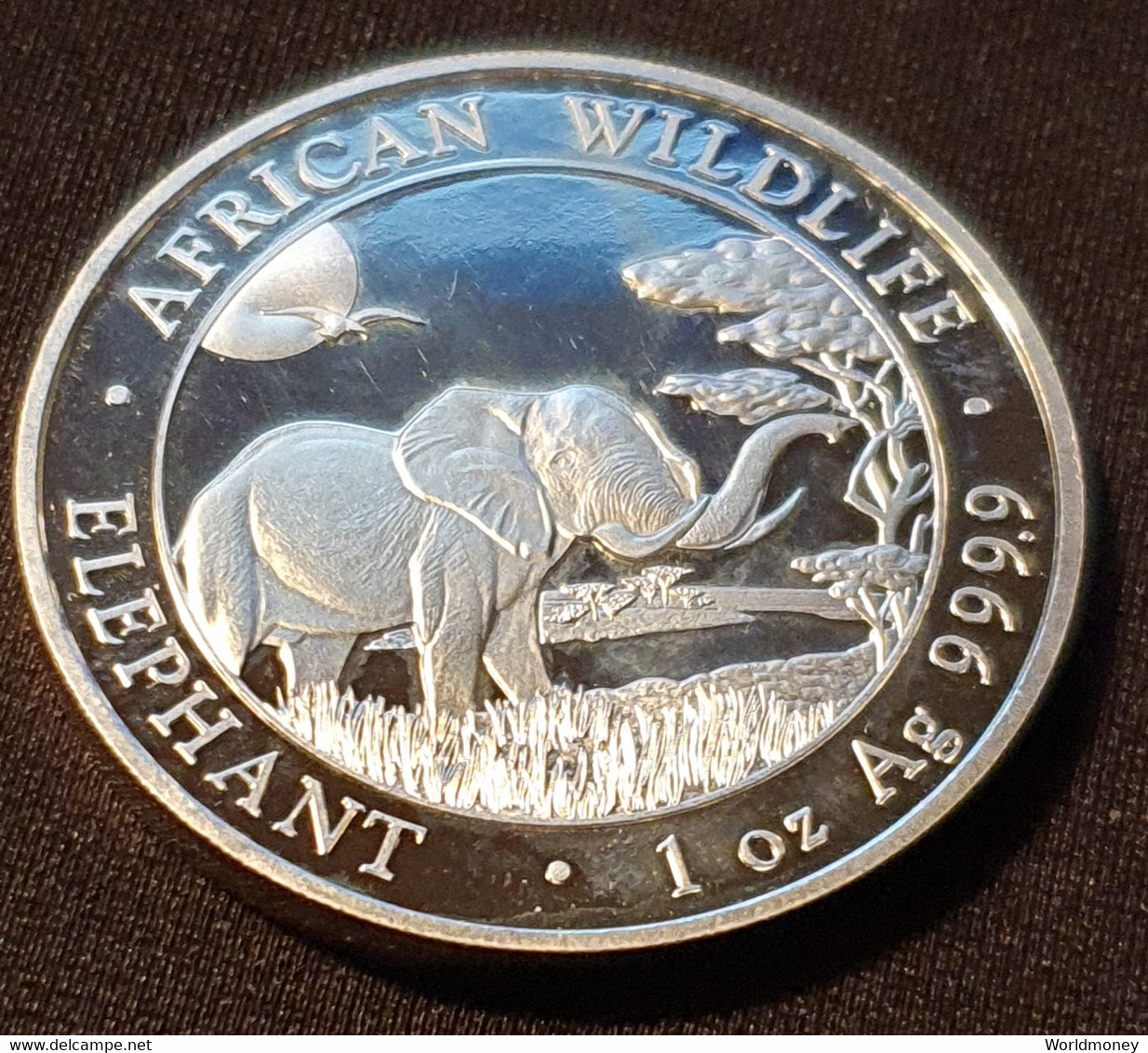 Somalia 100 Shillings 2019  "Elephant" - Somalia