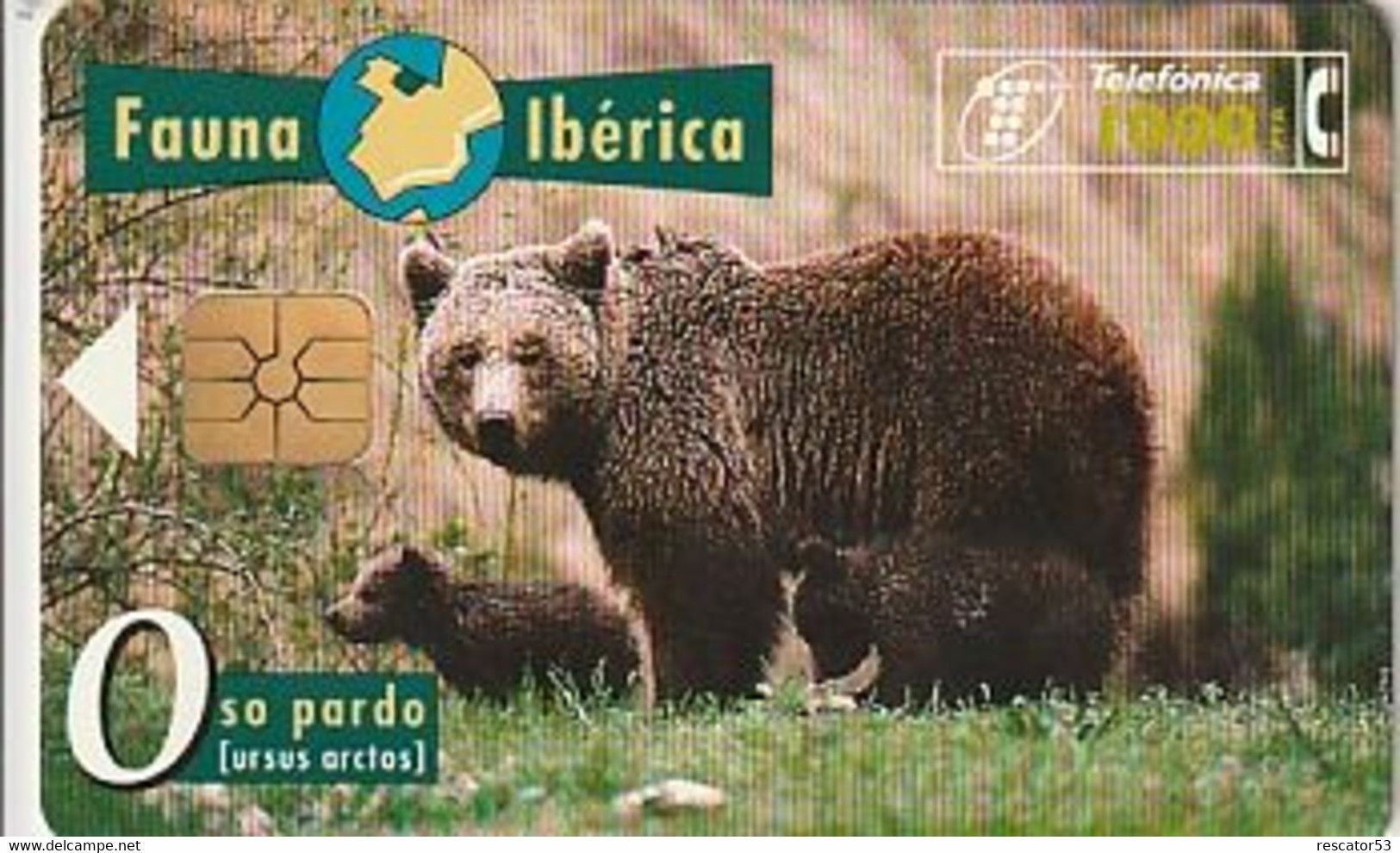 Rare Carte Téléphonique Fauna Ibérica Oso Pardo 1000 - Autres & Non Classés