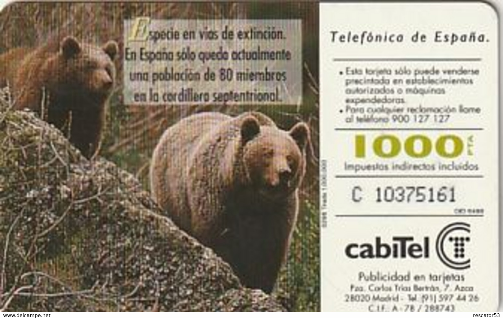 Rare Carte Téléphonique Fauna Ibérica Oso Pardo 1000 - Autres & Non Classés