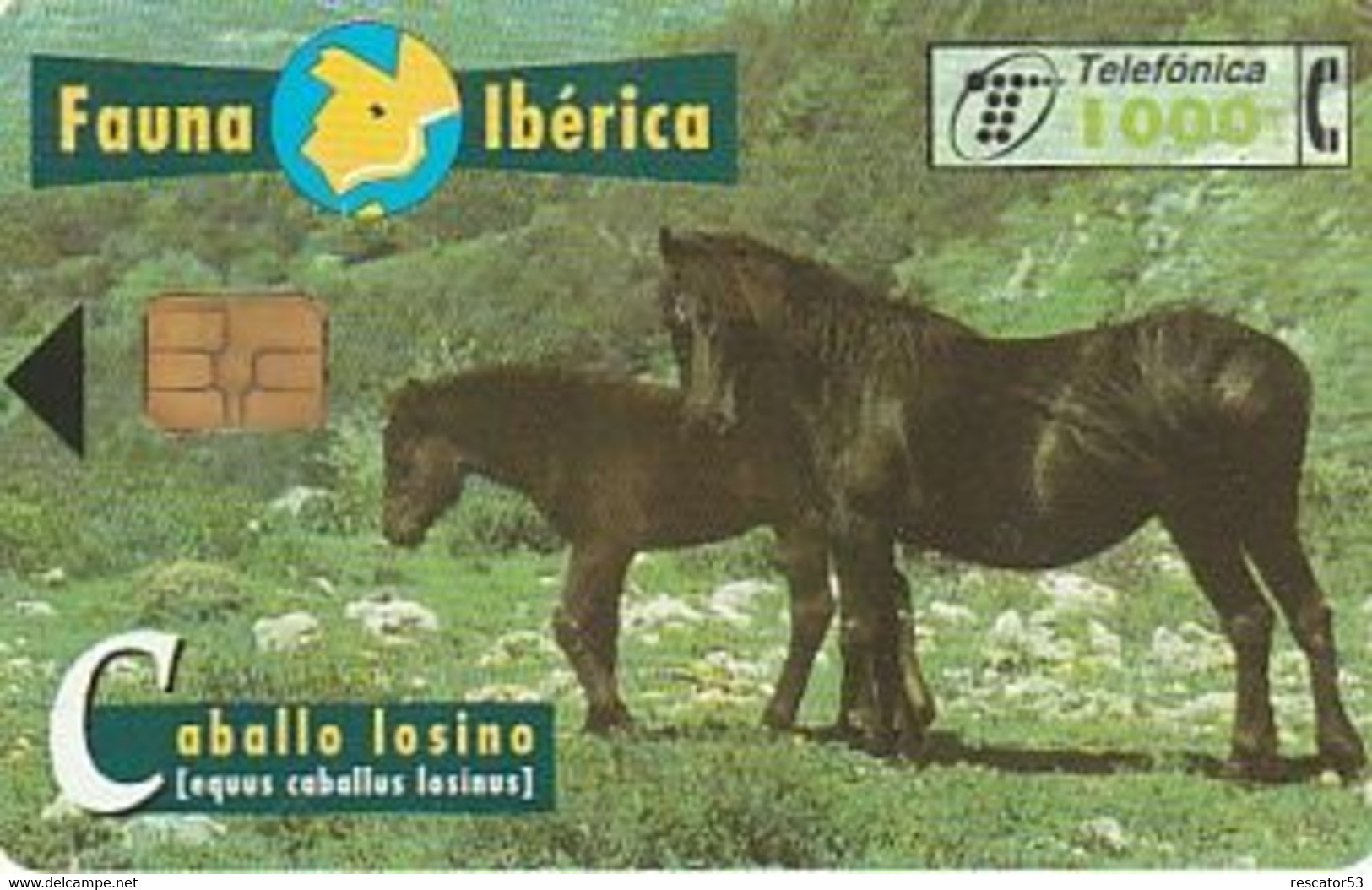 Rare Carte Téléphonique Fauna Caballo Losino 1000 - Autres & Non Classés