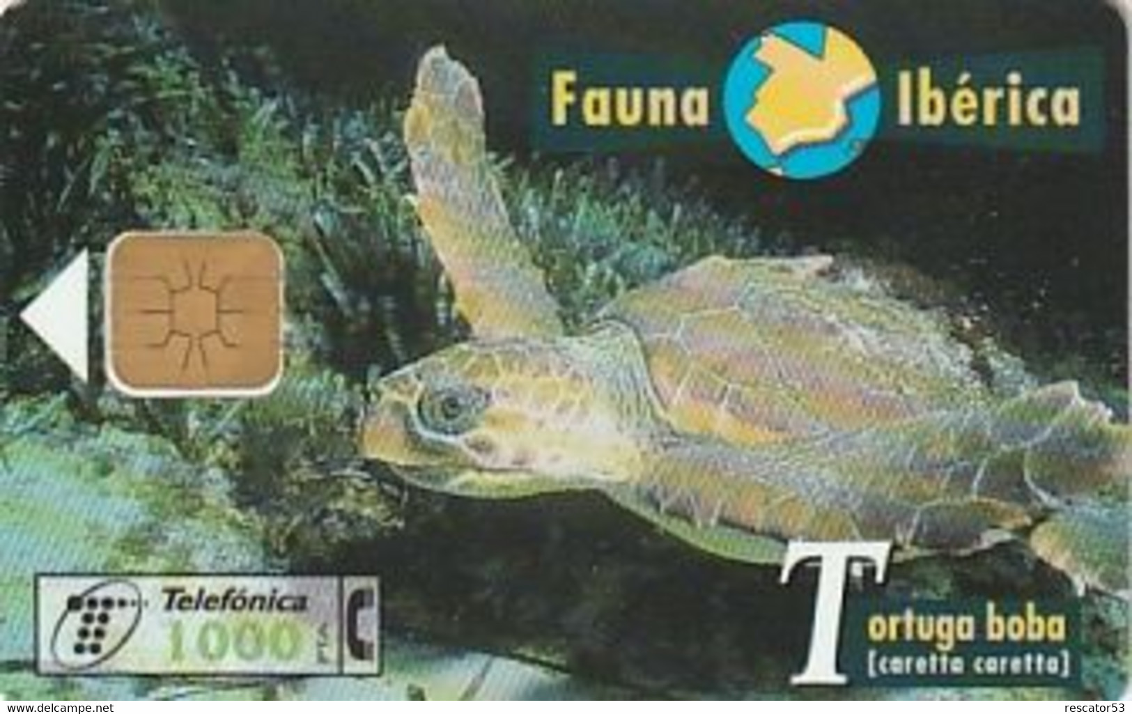 Rare Carte Téléphonique Fauna Tortuga Boba 1000 - Autres & Non Classés