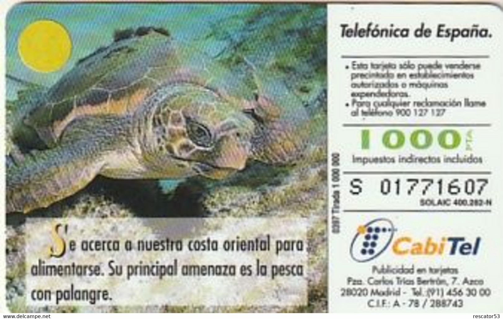 Rare Carte Téléphonique Fauna Tortuga Boba 1000 - Other & Unclassified