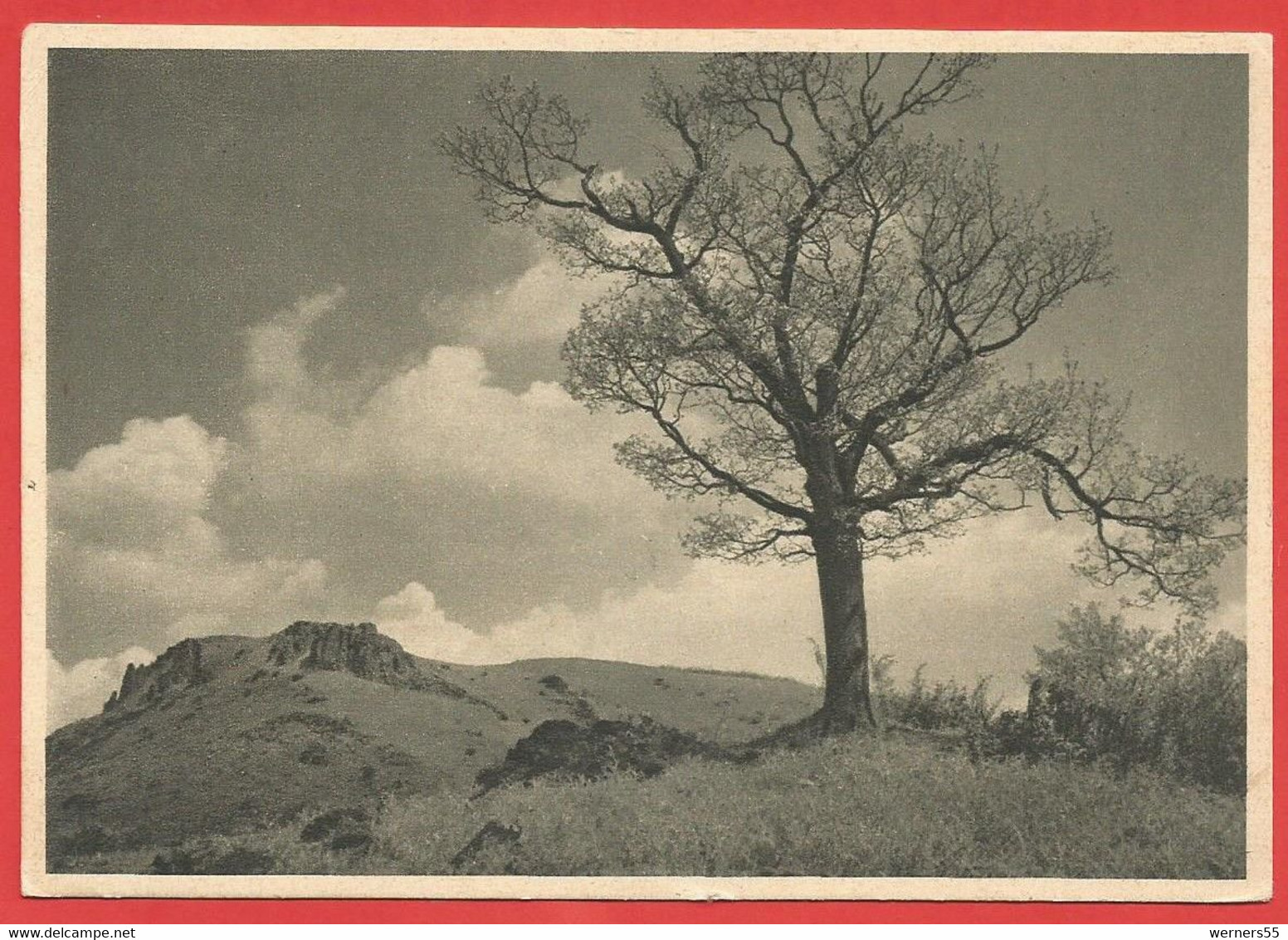 Schönheit Am Wege, Jahrbuch 1930, Fotokunst, Künstlerkarte - Fotografía