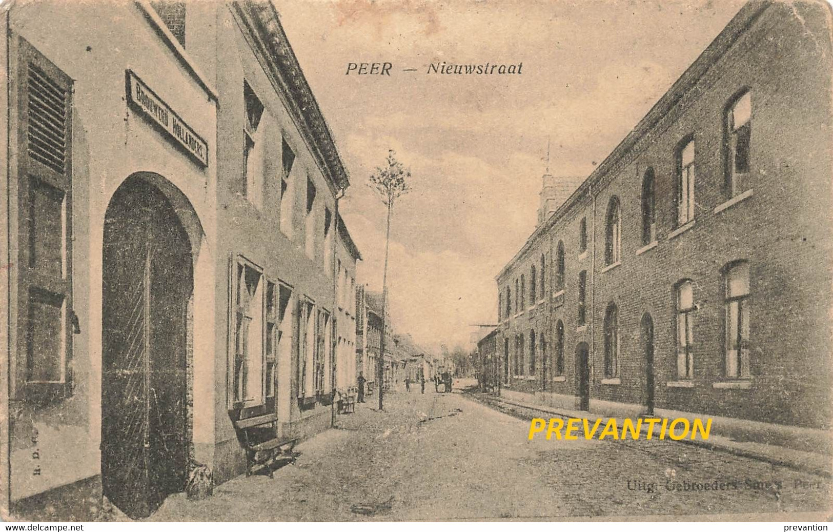 PEER - Nieuwstraat - Avec Enseigne Sur La Gauche - "Brouwerij Hollanders" - Peer