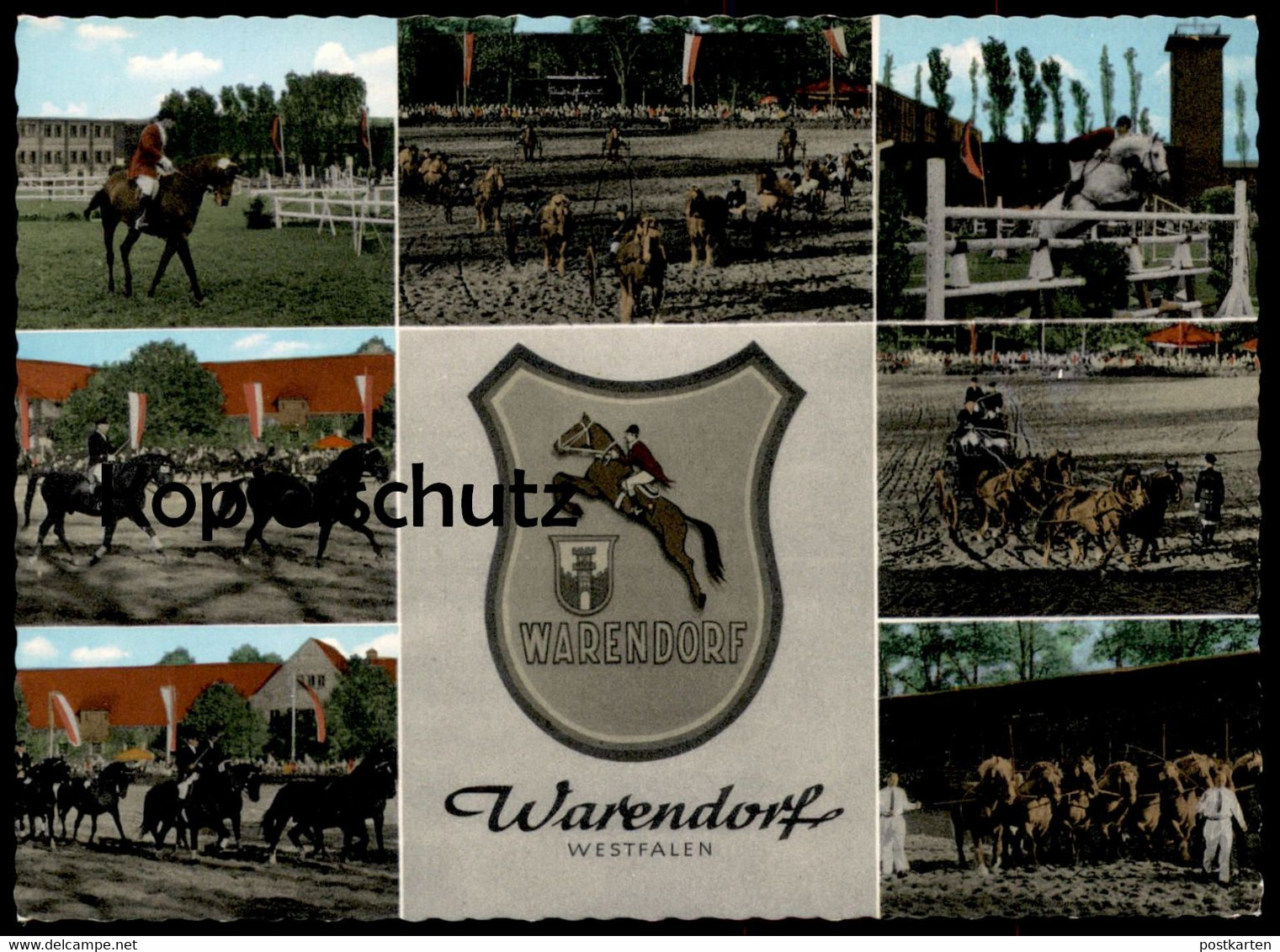 ALTE POSTKARTE HENGSTPARADE LANDGESTÜT WARENDORF Hengst Pferde Horses Horse Pferd Postcard Cpa Ansichtskarte Reitsport - Warendorf