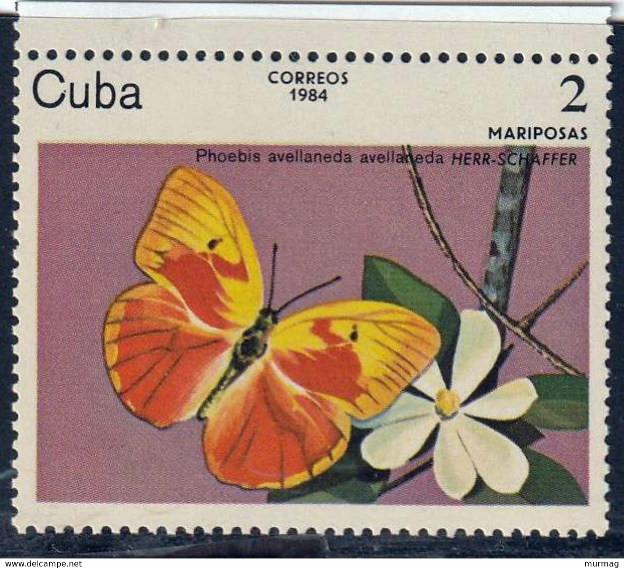 CUBA - Faune, Papillons - Y&T N° 2515-2521 - MNH - Autres & Non Classés