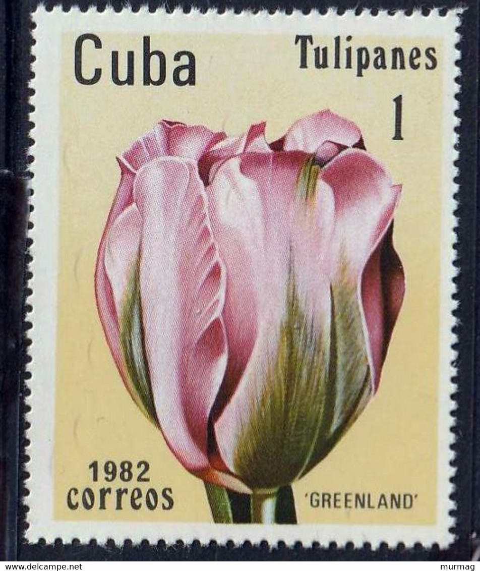 CUBA - Flore, Tulipes - Y&T N° 2346-2351 - MNH - Andere & Zonder Classificatie