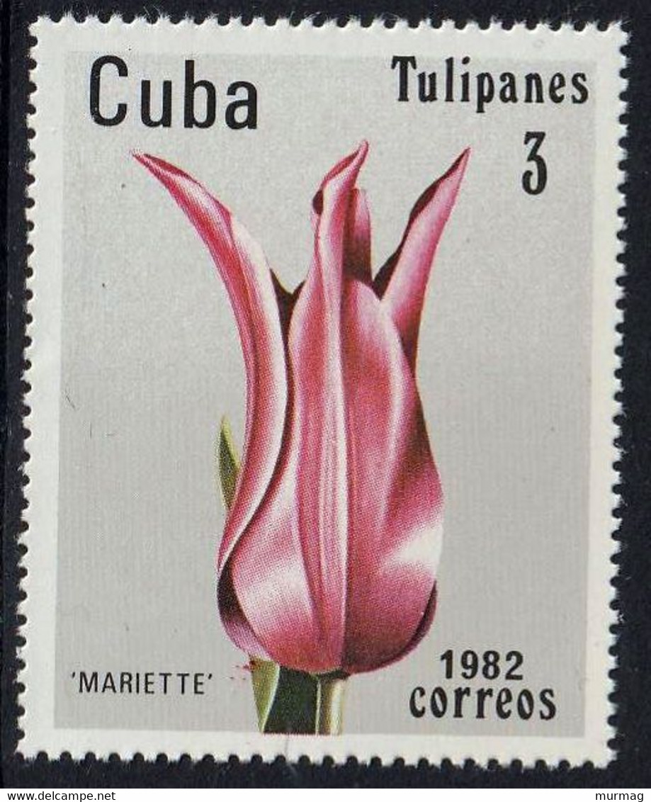 CUBA - Flore, Tulipes - Y&T N° 2346-2351 - MNH - Sonstige & Ohne Zuordnung