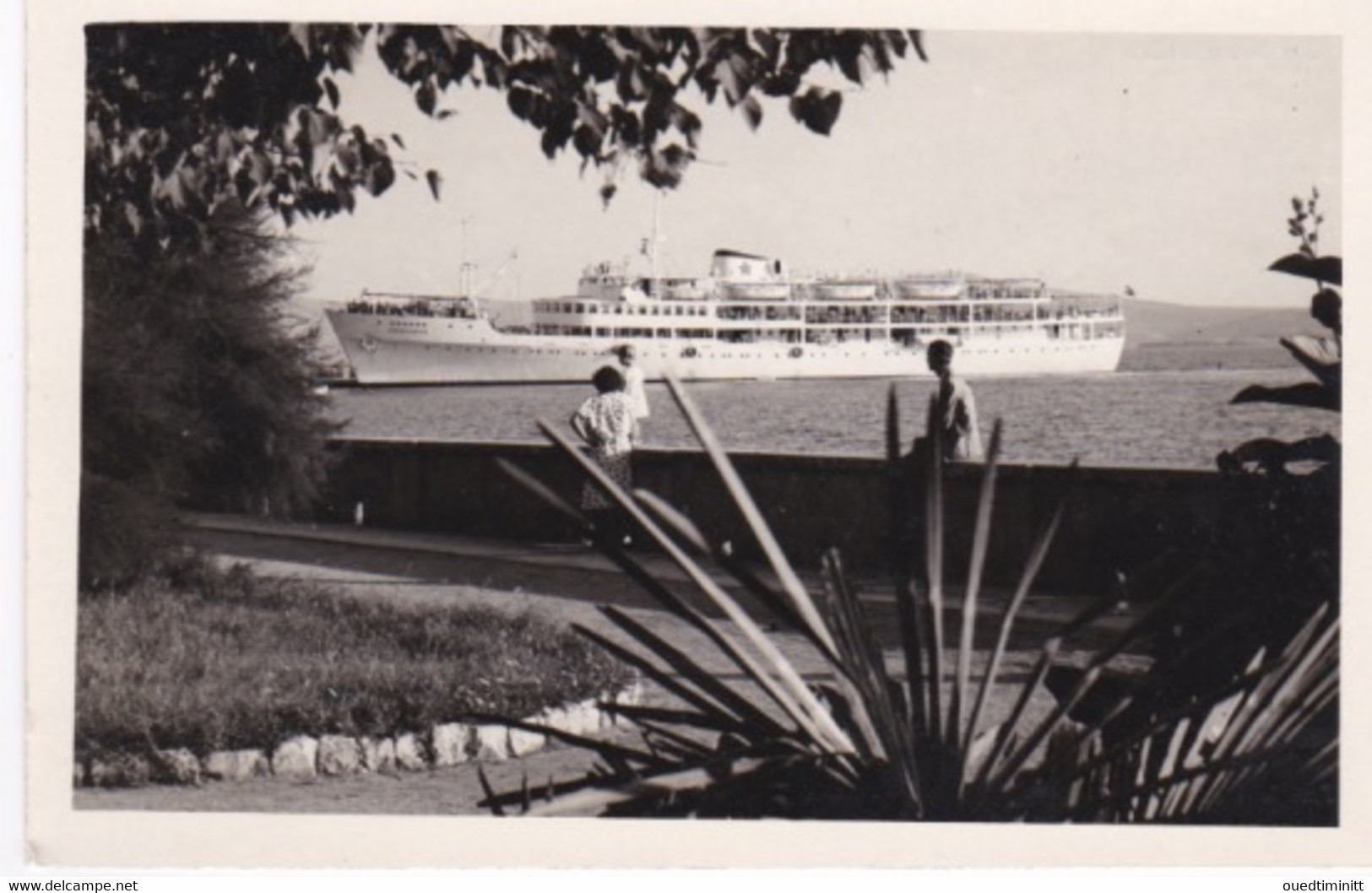 Carte-photo D'un Ferry à Crikvenica, Croatie - Ferries