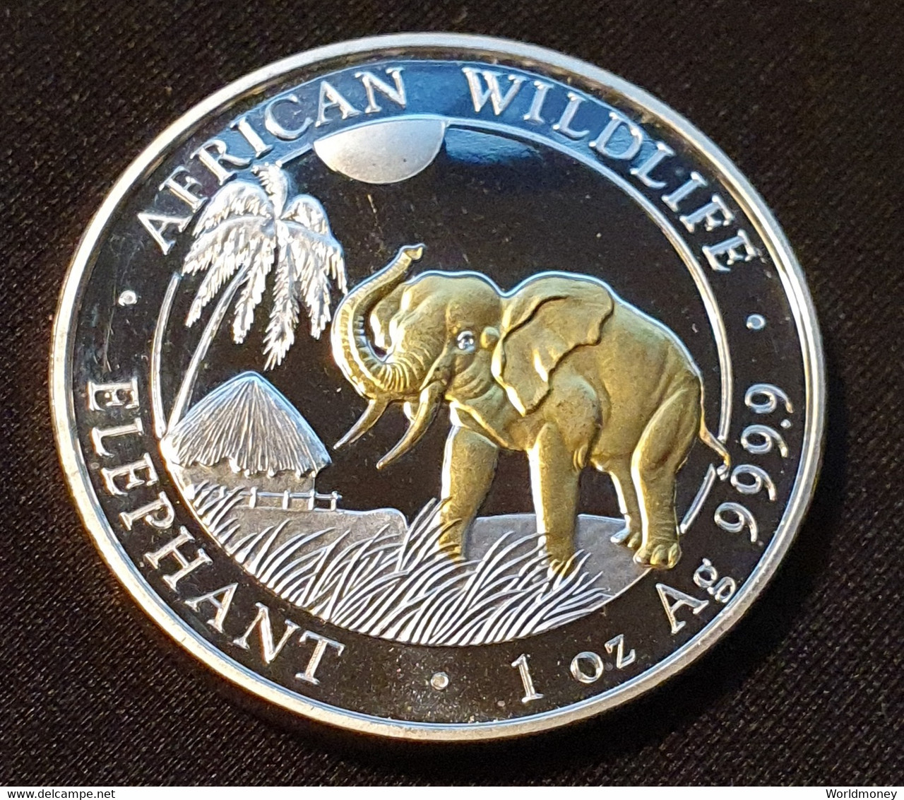 Somalia 100 Shillings 2017 (Gilded) "Elephant" - Somalia