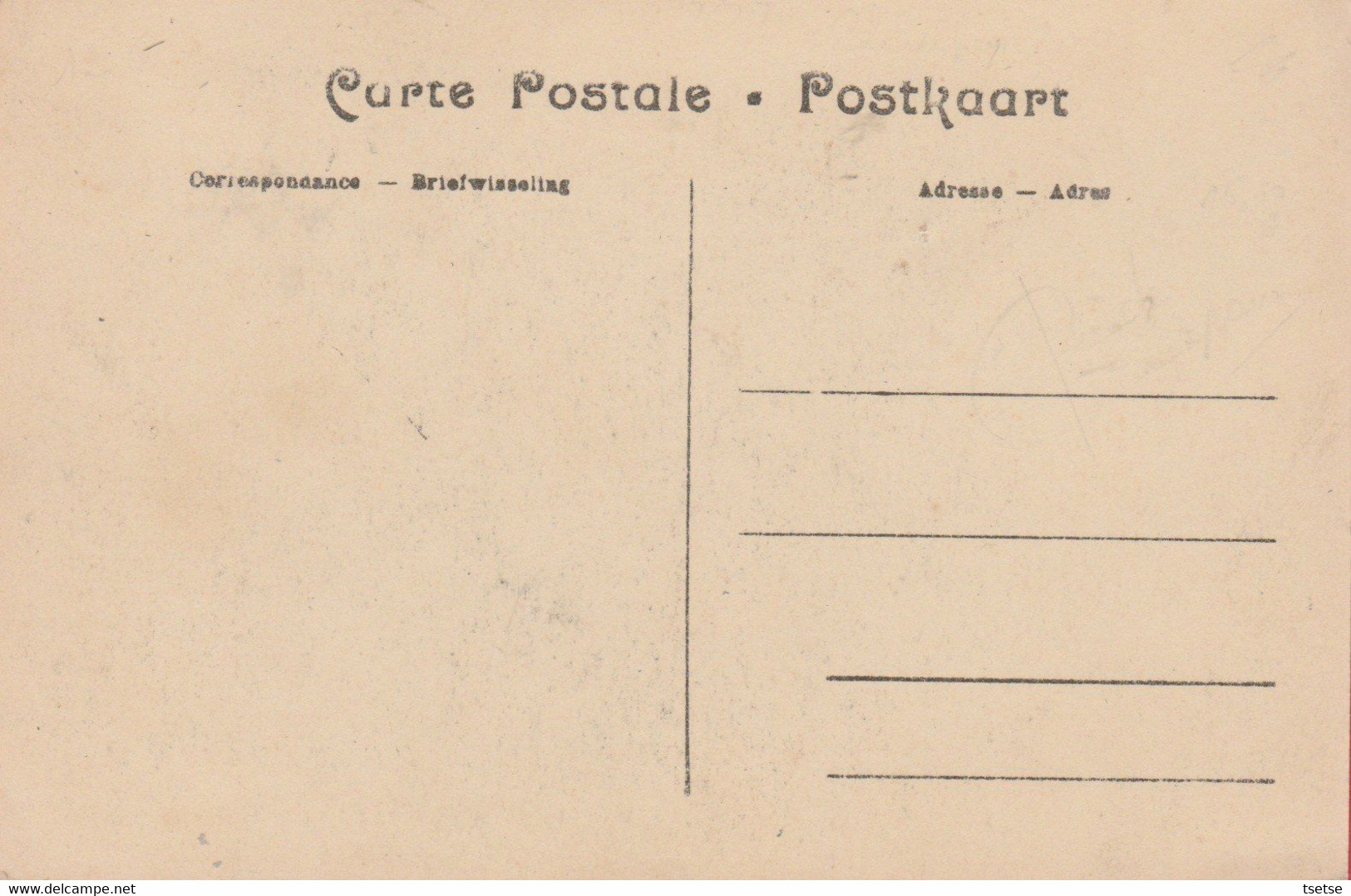 Doische - Joli Panorama ... De La Localité ( Voir Verso ) - Doische