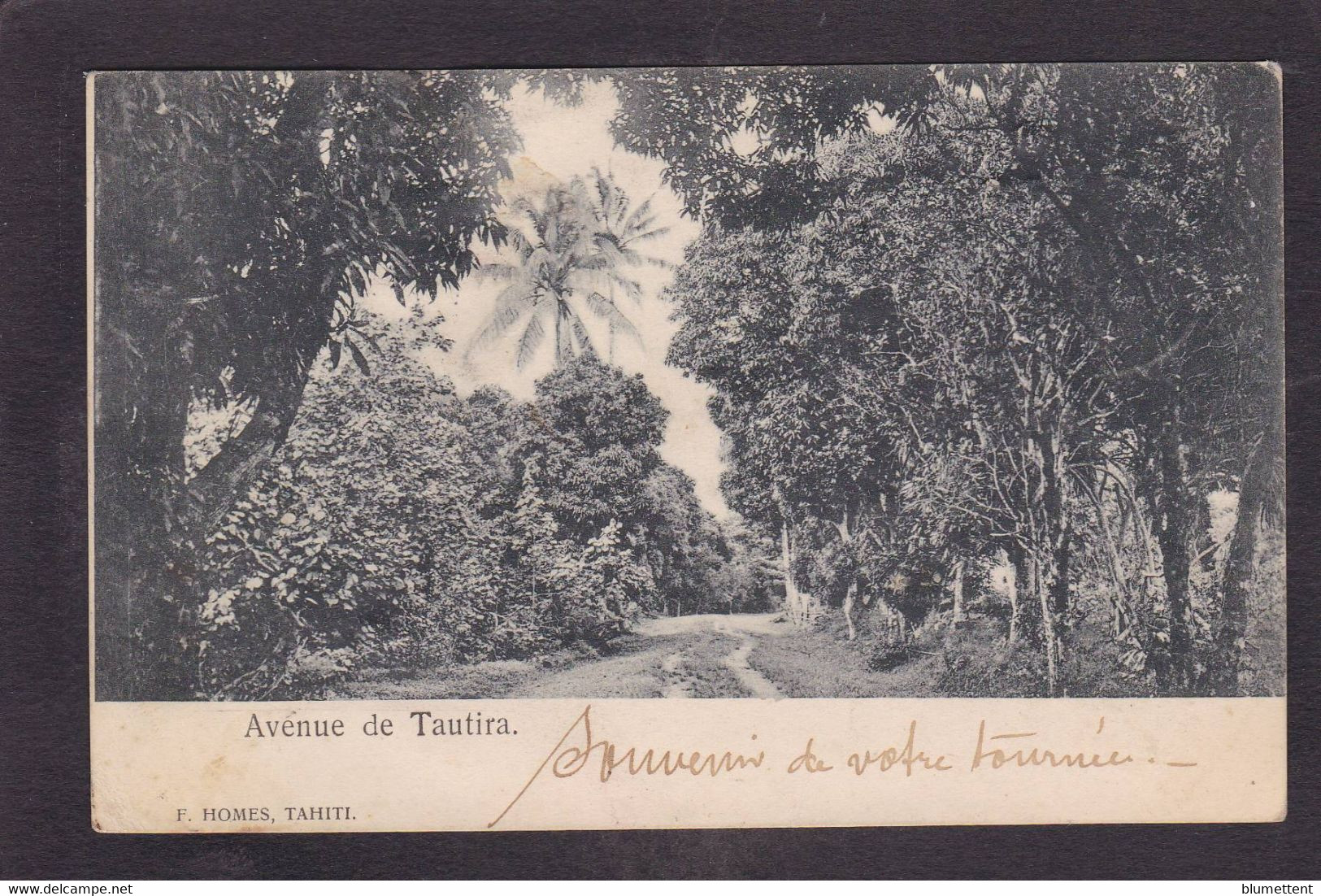 CPA Tahiti Océanie Polynésie Française Circulé - Tahiti