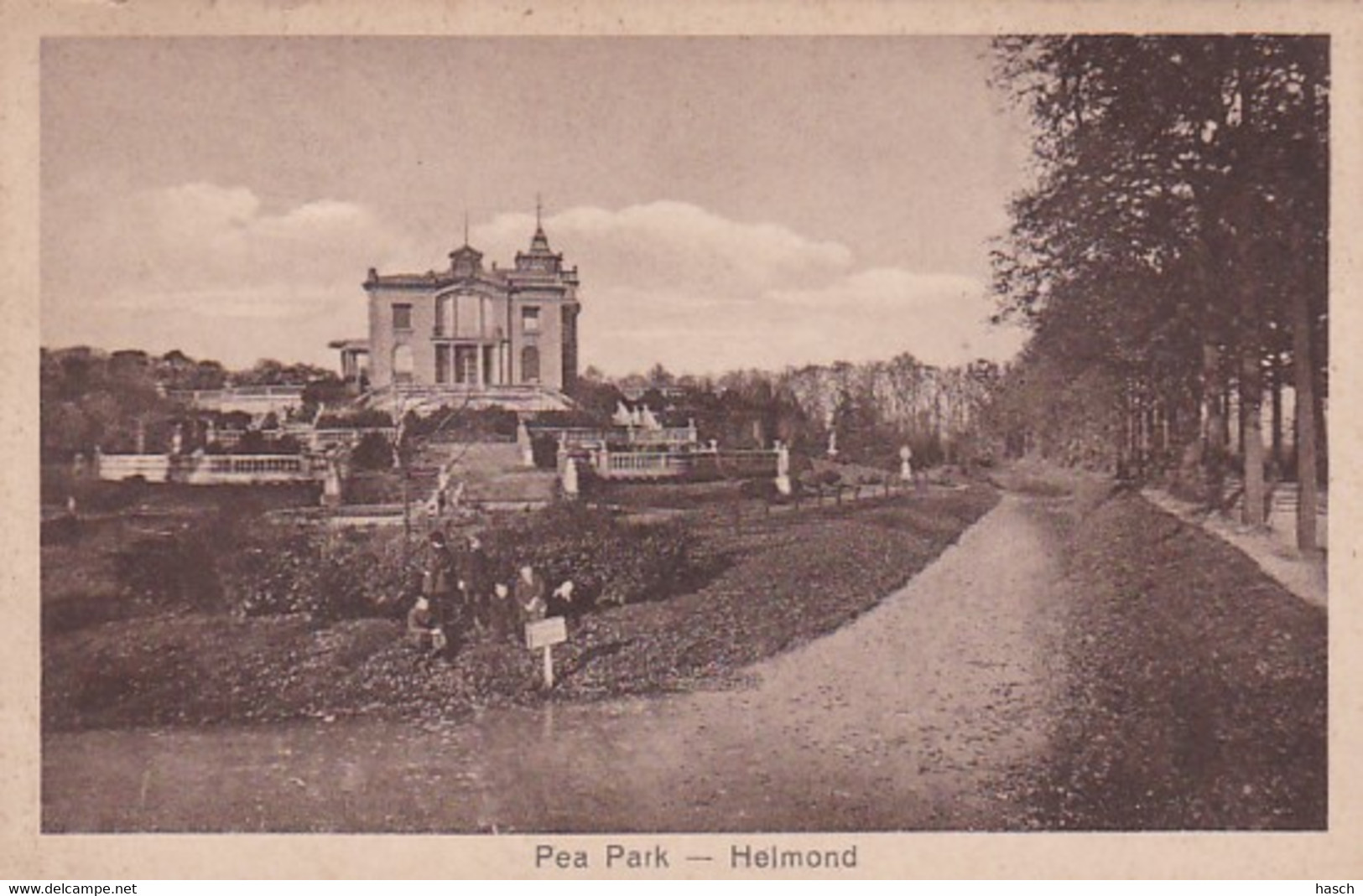 1846	52	Helmond, Pea Park (poststempel 1925)(zie Randen En Hoeken) - Helmond