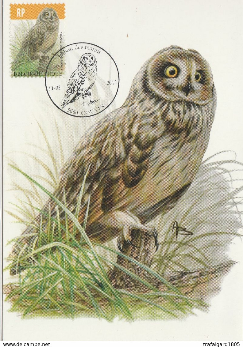 BUZIN. LE HIBOU DES MARAIS - 1985-.. Birds (Buzin)