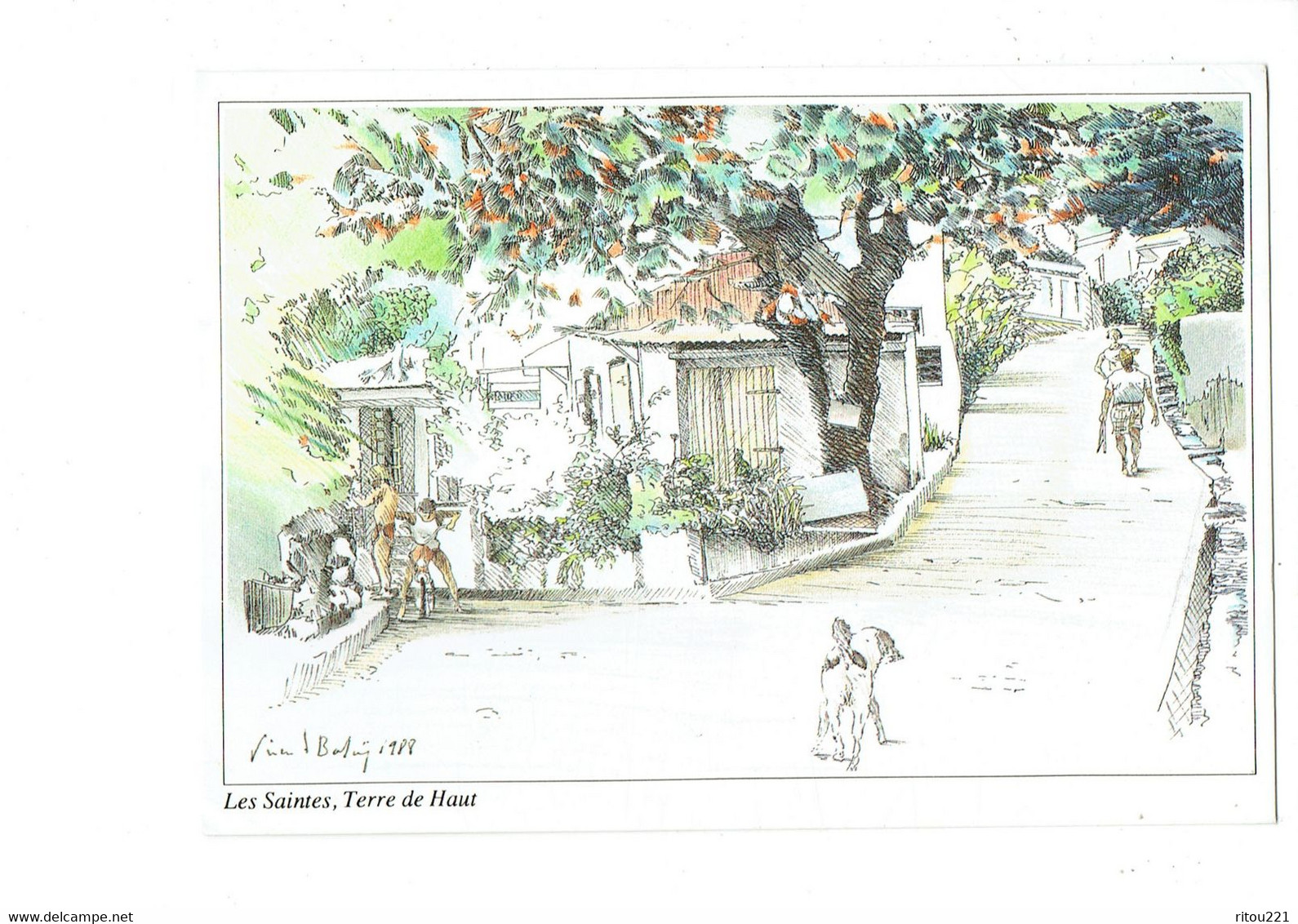 Cpm - GUADELOUPE - LES SAINTES - TERRE DE HAUT - Illustration Vincent BALAY - Anse Du Bourg - 1992 - Chien Bicyclette - Saint Martin