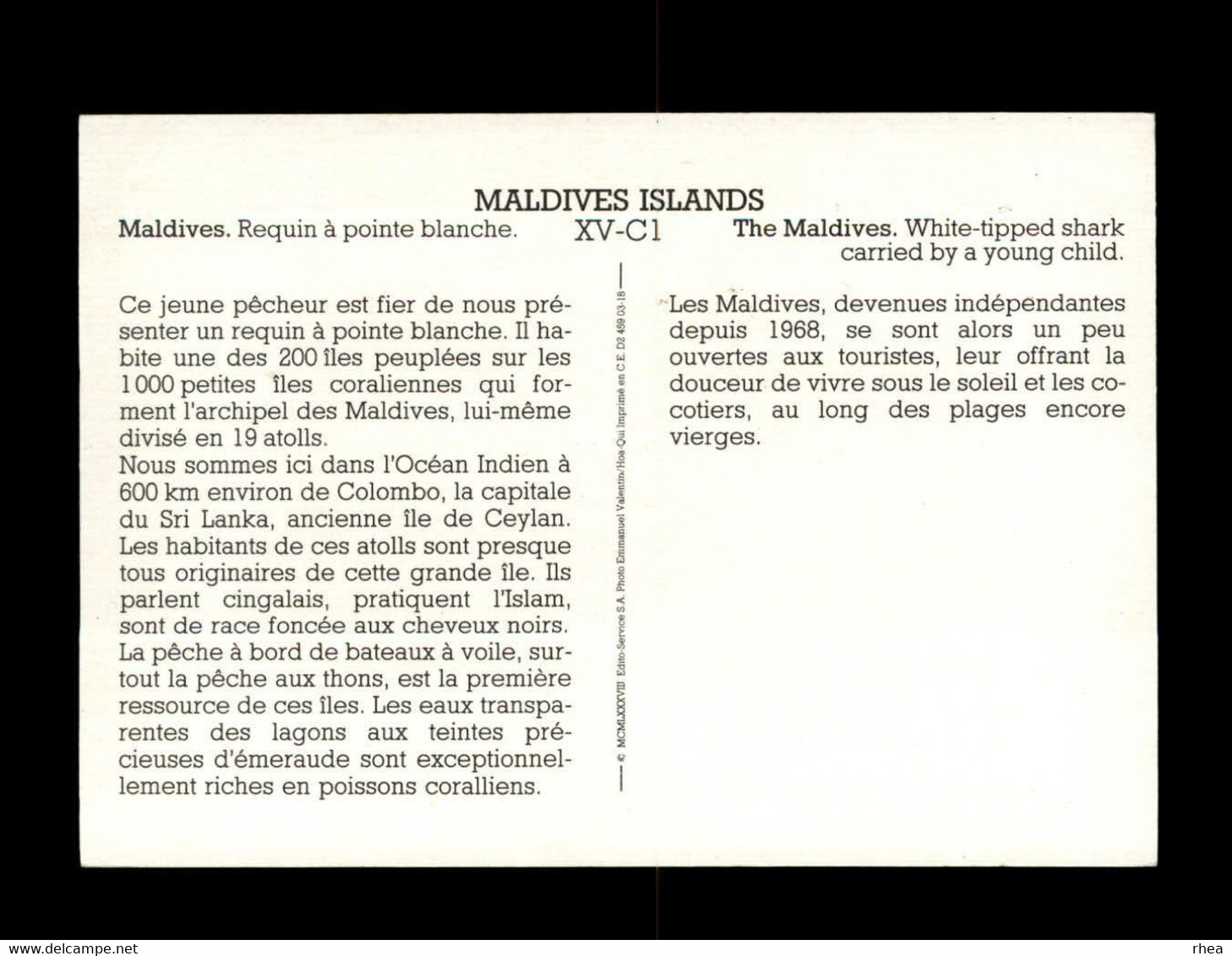 MALDIVES - Requin - Maldiven