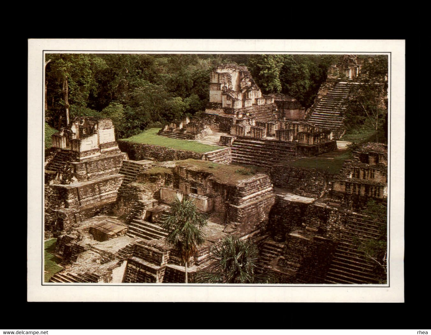 GUATEMALA - TIKAL  - Métropole Mayal - Guatemala