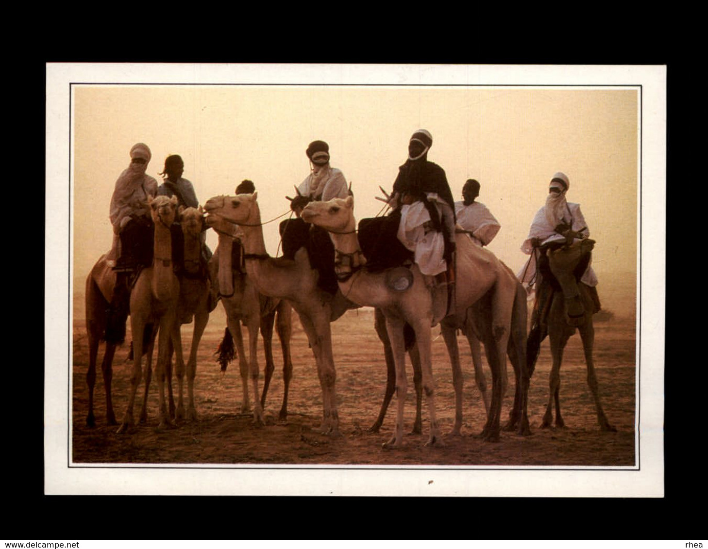 NIGER - TEGUIDDA N'TESSOUMT - Chameau - Niger