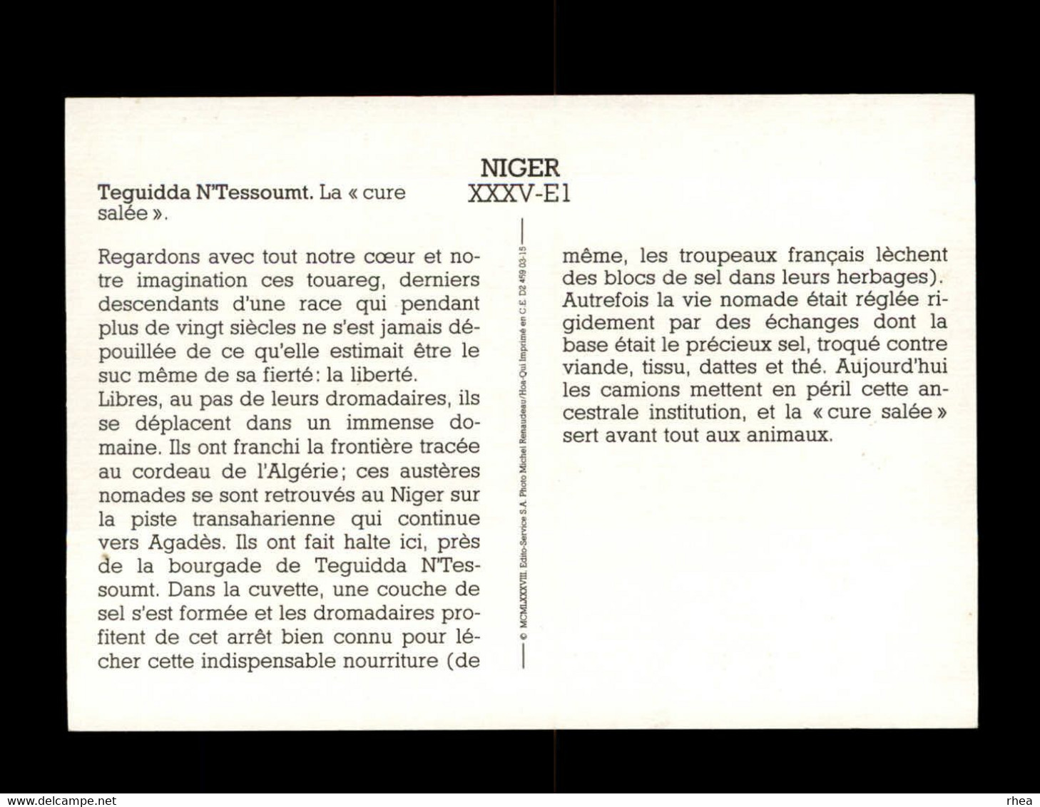 NIGER - TEGUIDDA N'TESSOUMT - Chameau - Niger