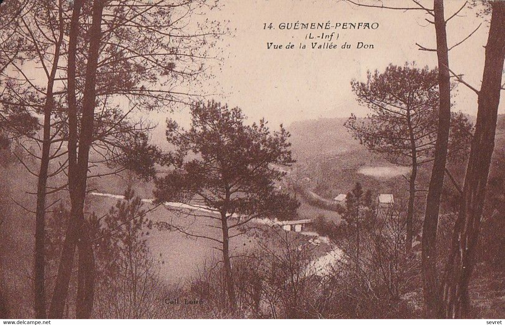 GUEMENE-PENFAO - Vue De La Vallée Du Don.Circ - Guémené-Penfao