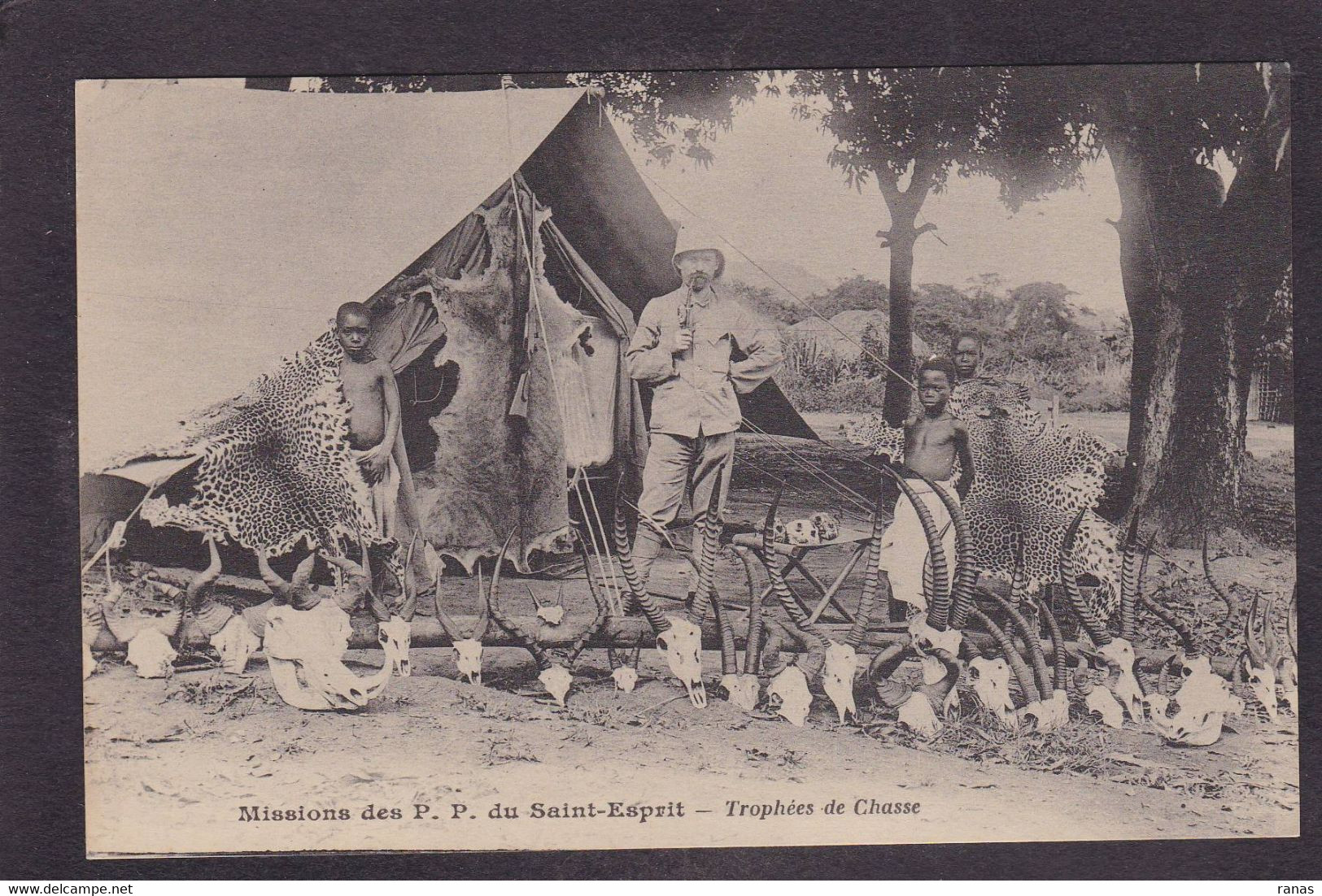 CPA Congo Trophées De Chasse Hunting Non Circulé - Congo Francese