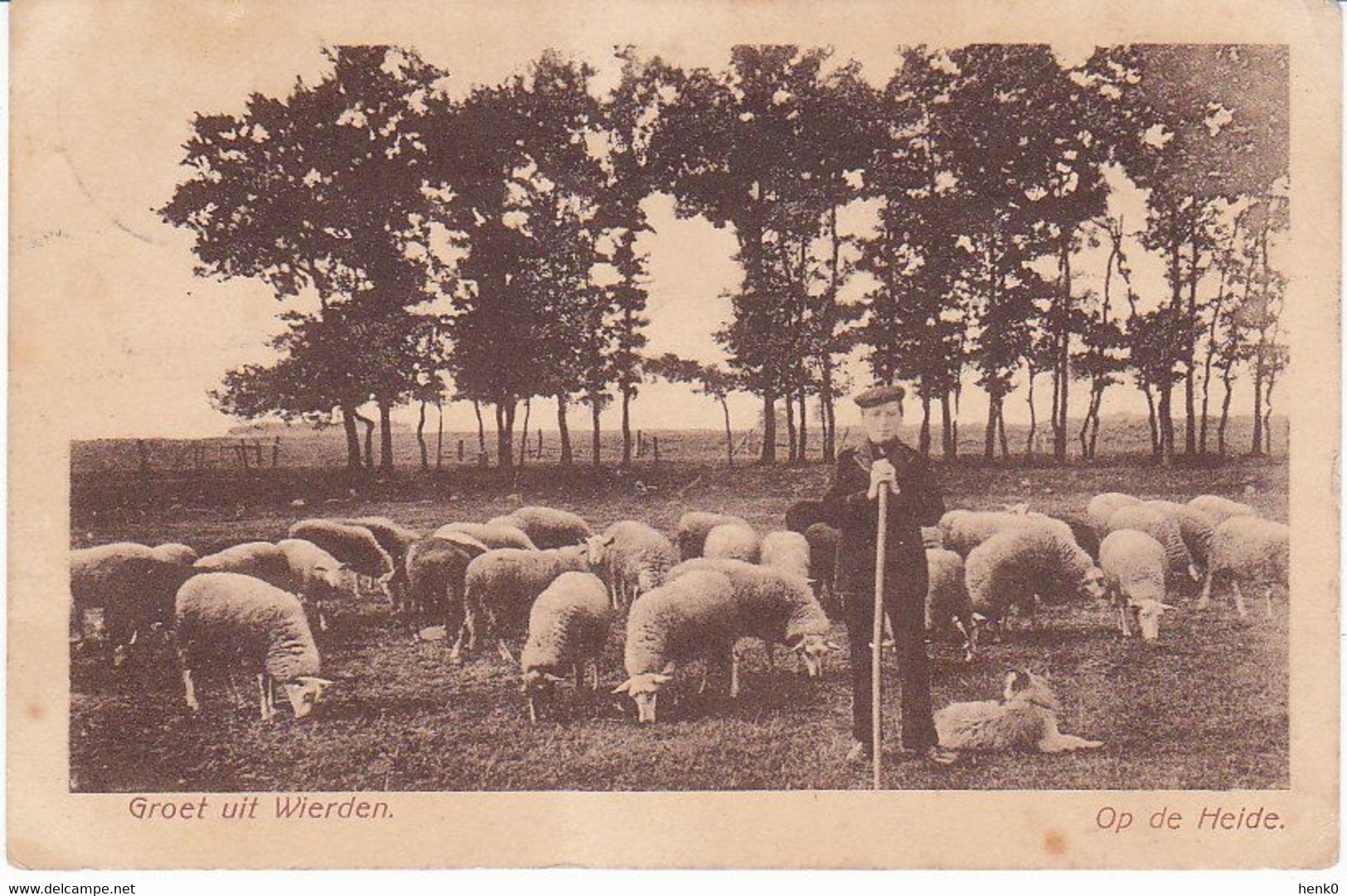 Wierden Op De Heide Schapen Herder D422 - Wierden