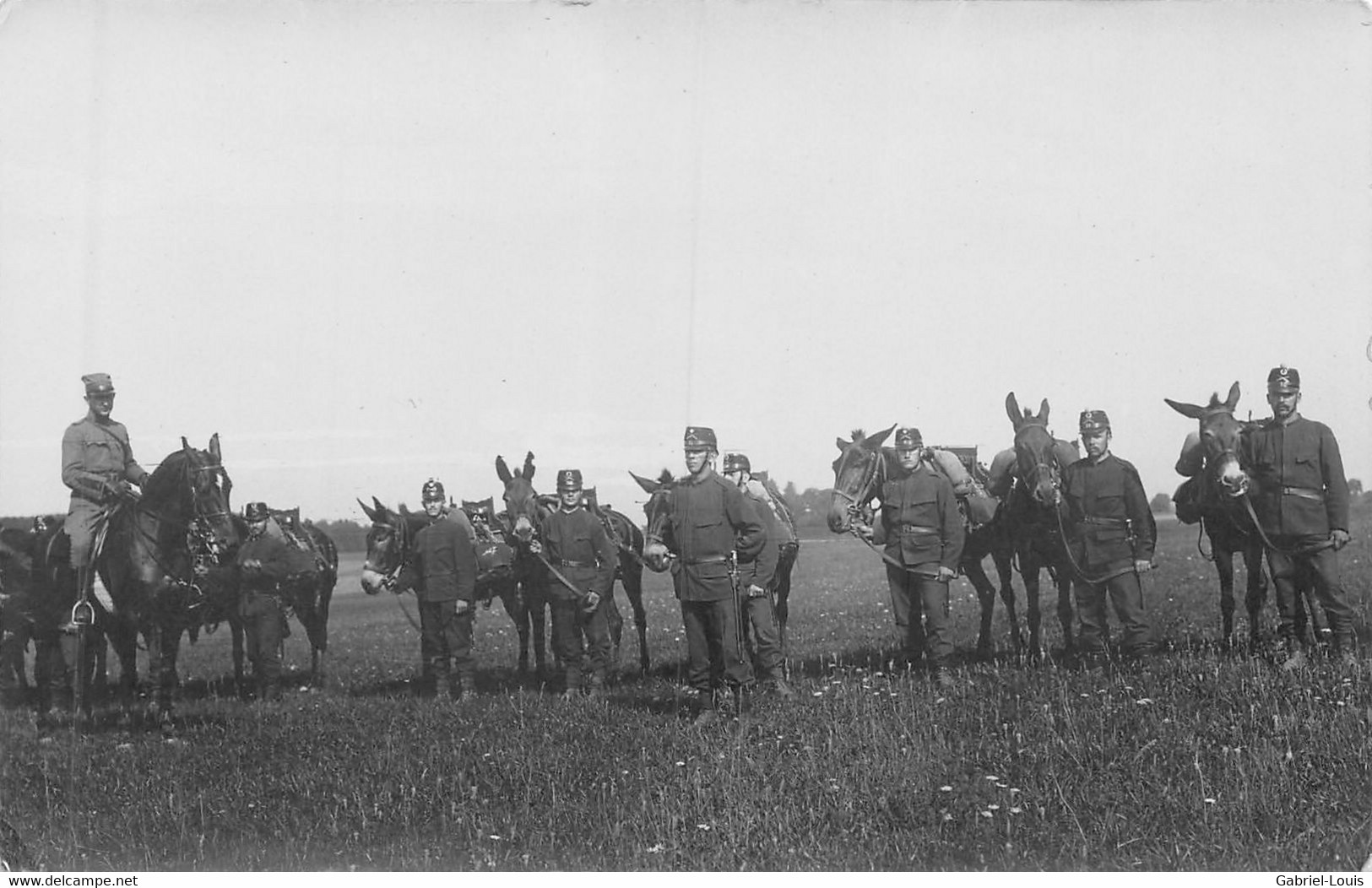 Carte-Photo - Armée Suisse Schweizer Armee - Militaria -   Maultiere - Mulets - Cavalerie Dragons - Otros & Sin Clasificación