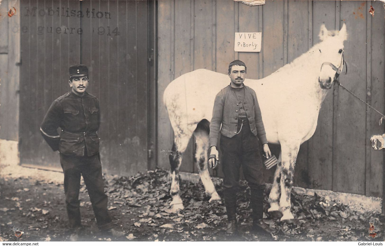 Carte-Photo Militaria - Soldats - Armée Suisse - Schweizer Armee - Dragons - Cheval Blanc  - Mobilisation Guerre 1914-18 - Sonstige & Ohne Zuordnung