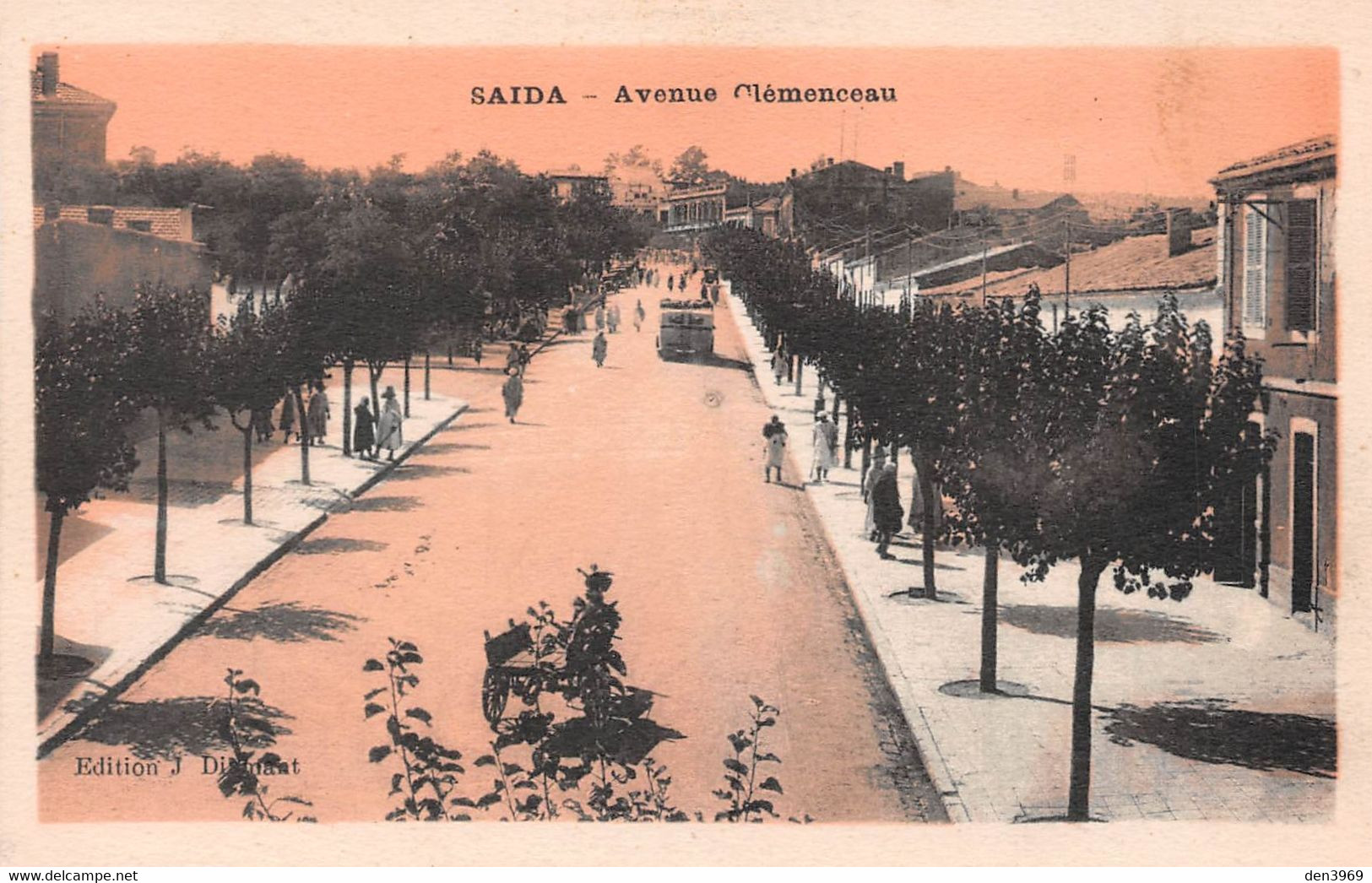 Algérie - SAÏDA - Avenue Clémenceau - Saïda