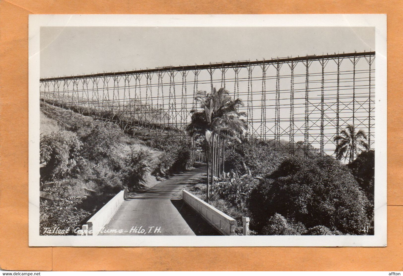 Hawaii Old Real Photo Postcard - Hilo