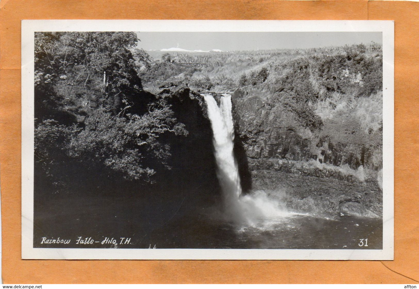 Hawaii Old Real Photo Postcard - Hilo