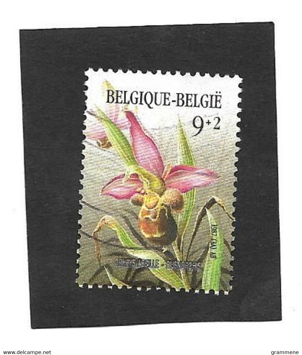 2244  Bijenorchis  Buzin Uit 1987 - Usados