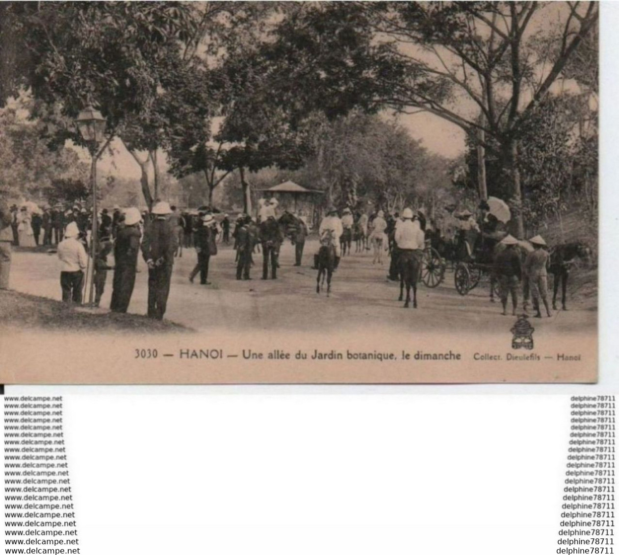 Hanoi-Une Allée Du Jardin Botanique, Le Dimanche - Vietnam