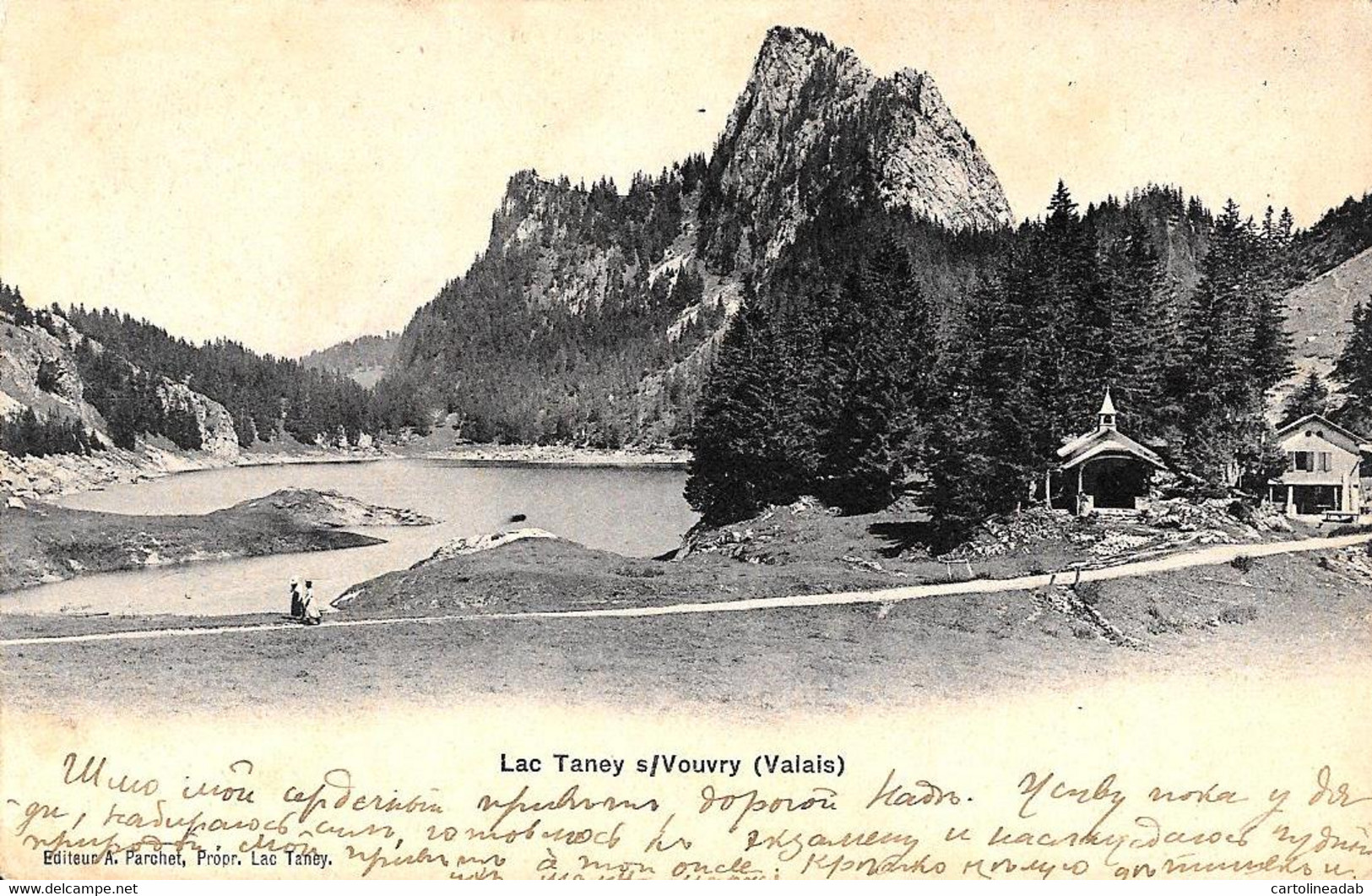 [DC12379] CPA - SVIZZERA - LAC TENEY S/VOUVRY - Viaggiata 1907 - Old Postcard - Vouvry