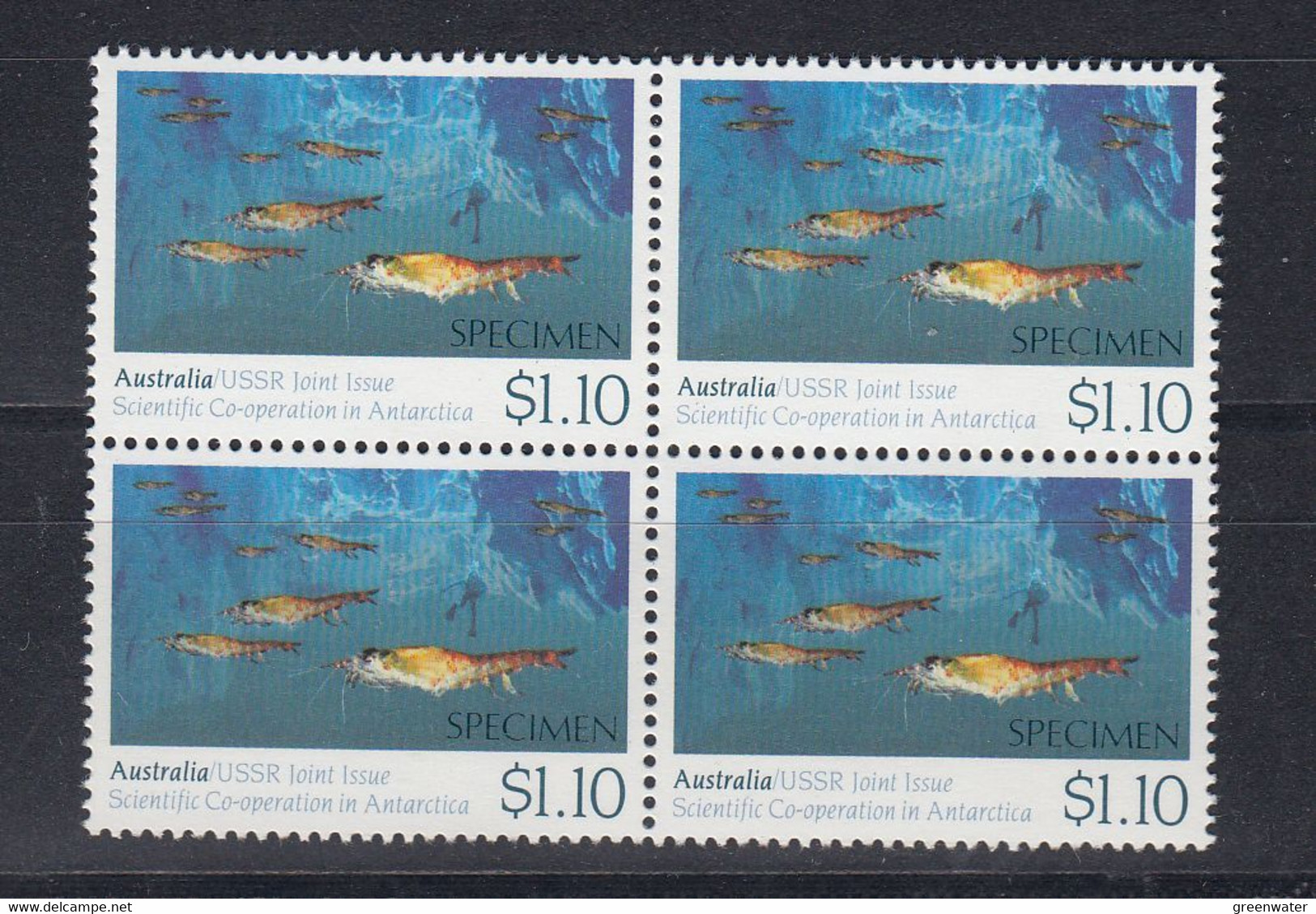 Australia 1990 Antarctica / Joint Issue With Russia 1v  Bl Of 4 "Specimen" ** Mnh (51144) - Mint Stamps