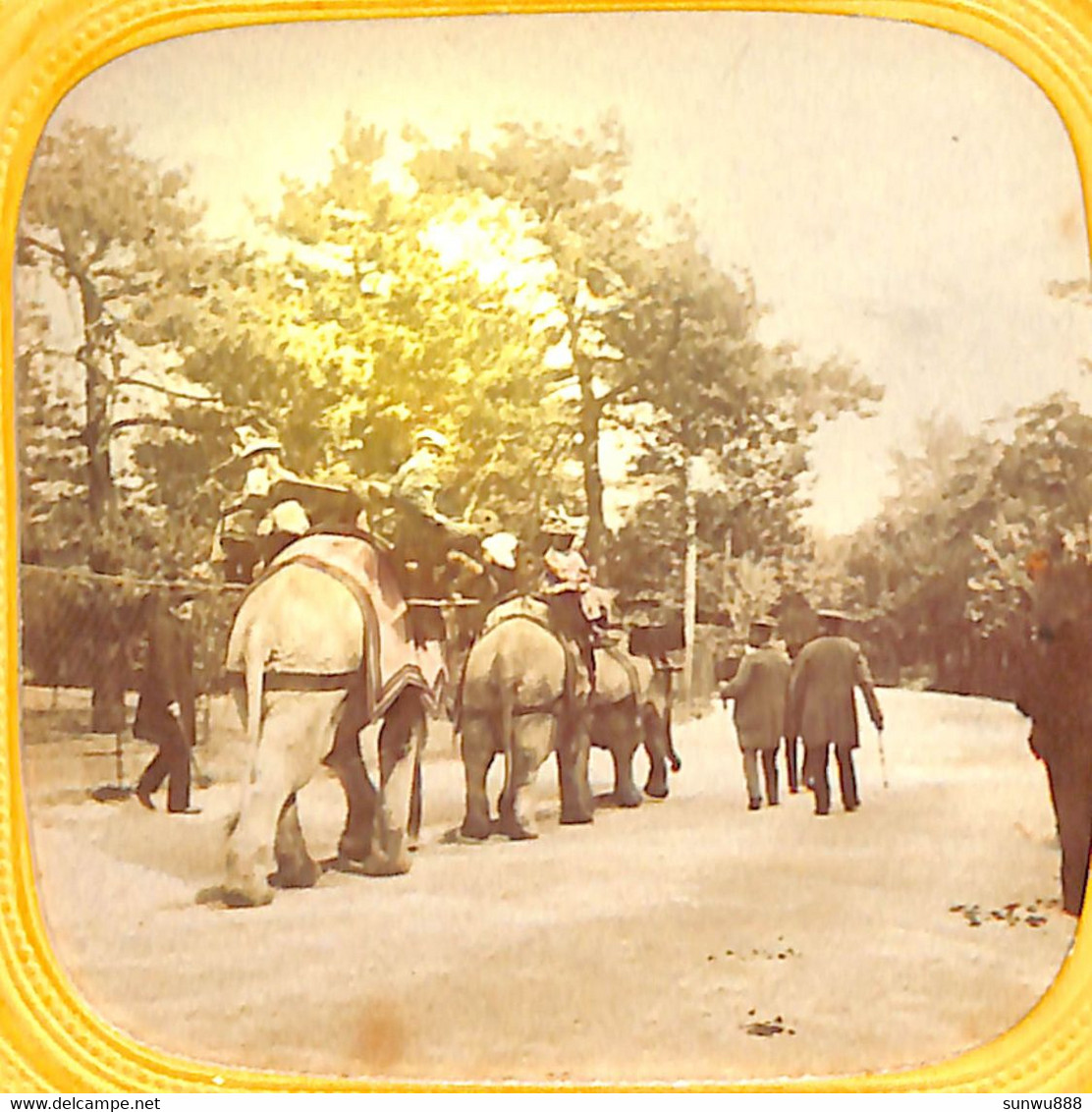 Photos Stéréo Stéréoscopiques Sur Carton (+/- 1900) - Paris Jardin D'acclimatation Eléphants Animée Colorisée(Voir ZOOM) - Stereoscoop