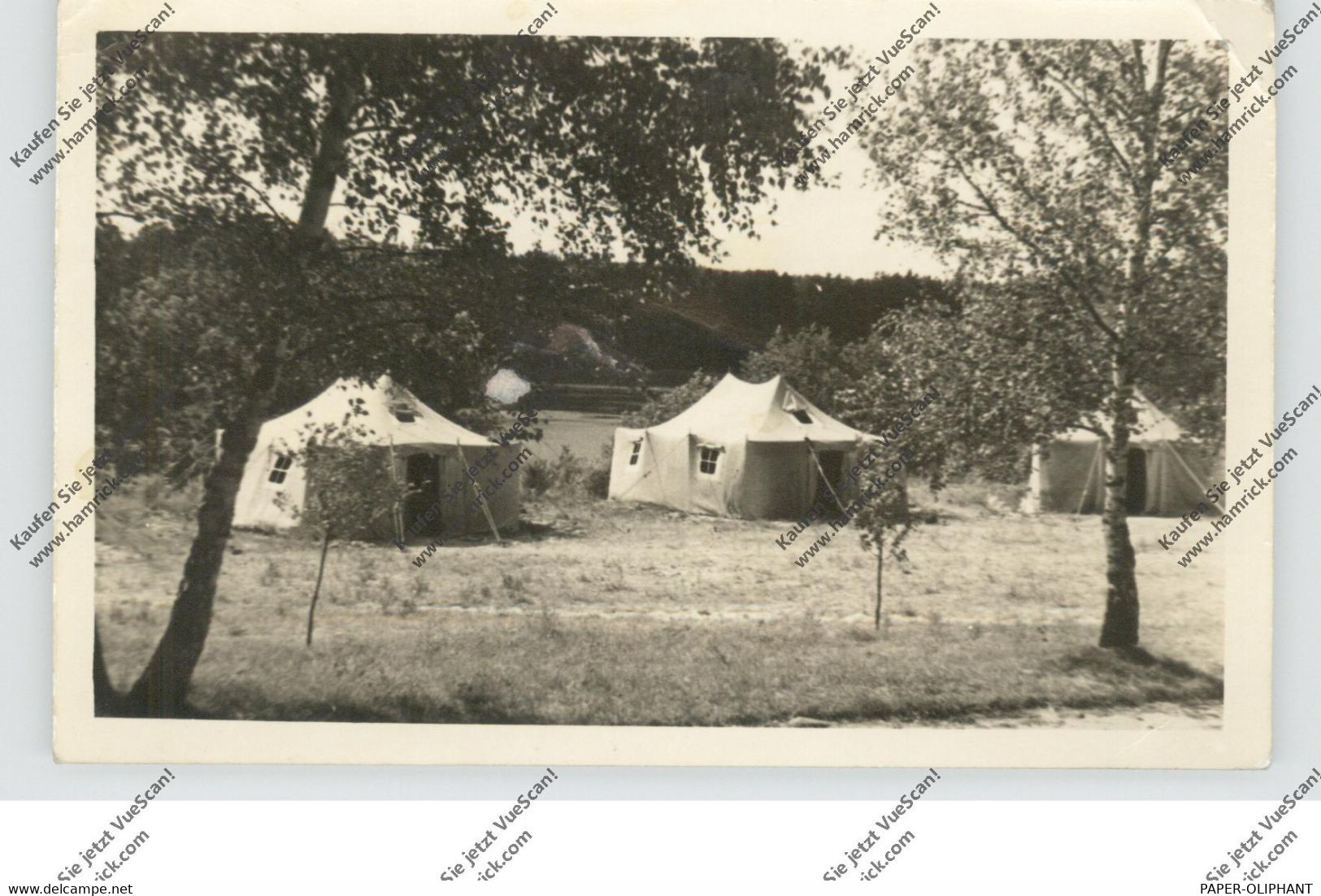 0-1300 EBERSWALDE - FINOW, Zeltlager, 1956, Photo-AK, Text, Eckknick - Eberswalde