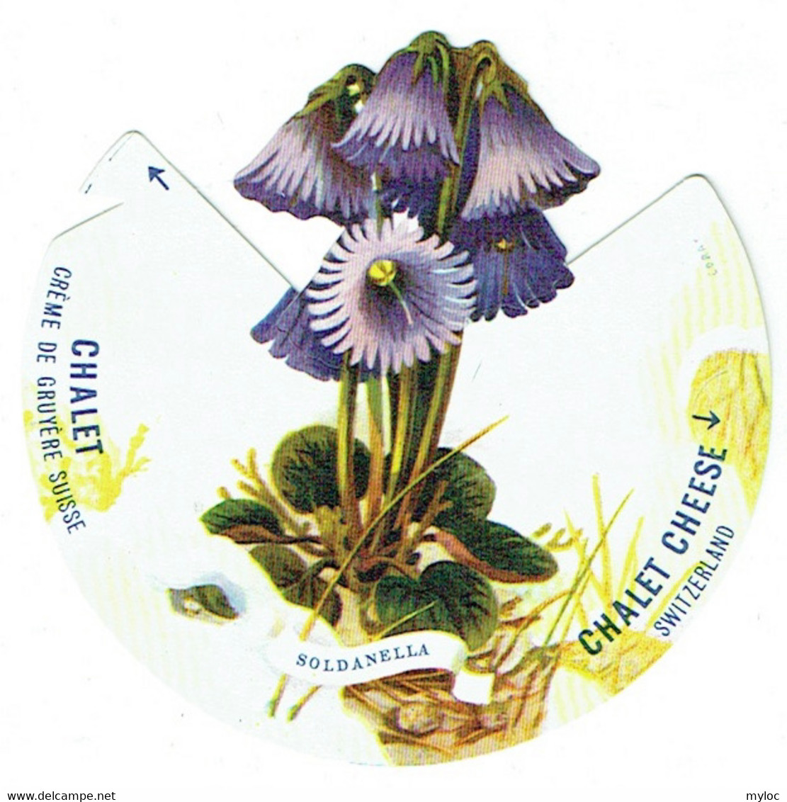 Fromage Suisse CHALET Cheese. Flora Alpina. N°4 Soldanella. - Flowers