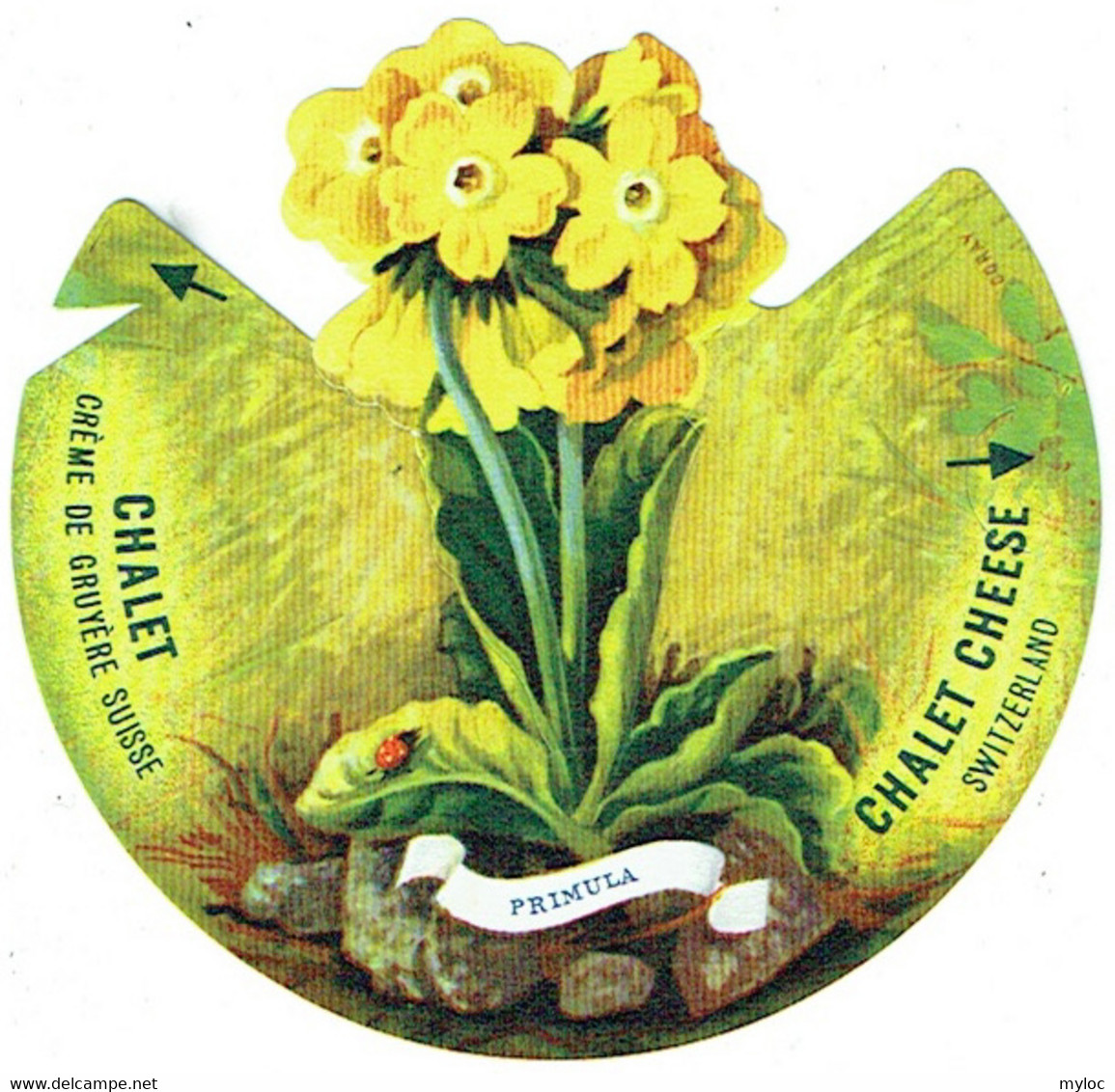 Fromage Suisse CHALET Cheese. Flora Alpina. N°6 Primula. - Flores