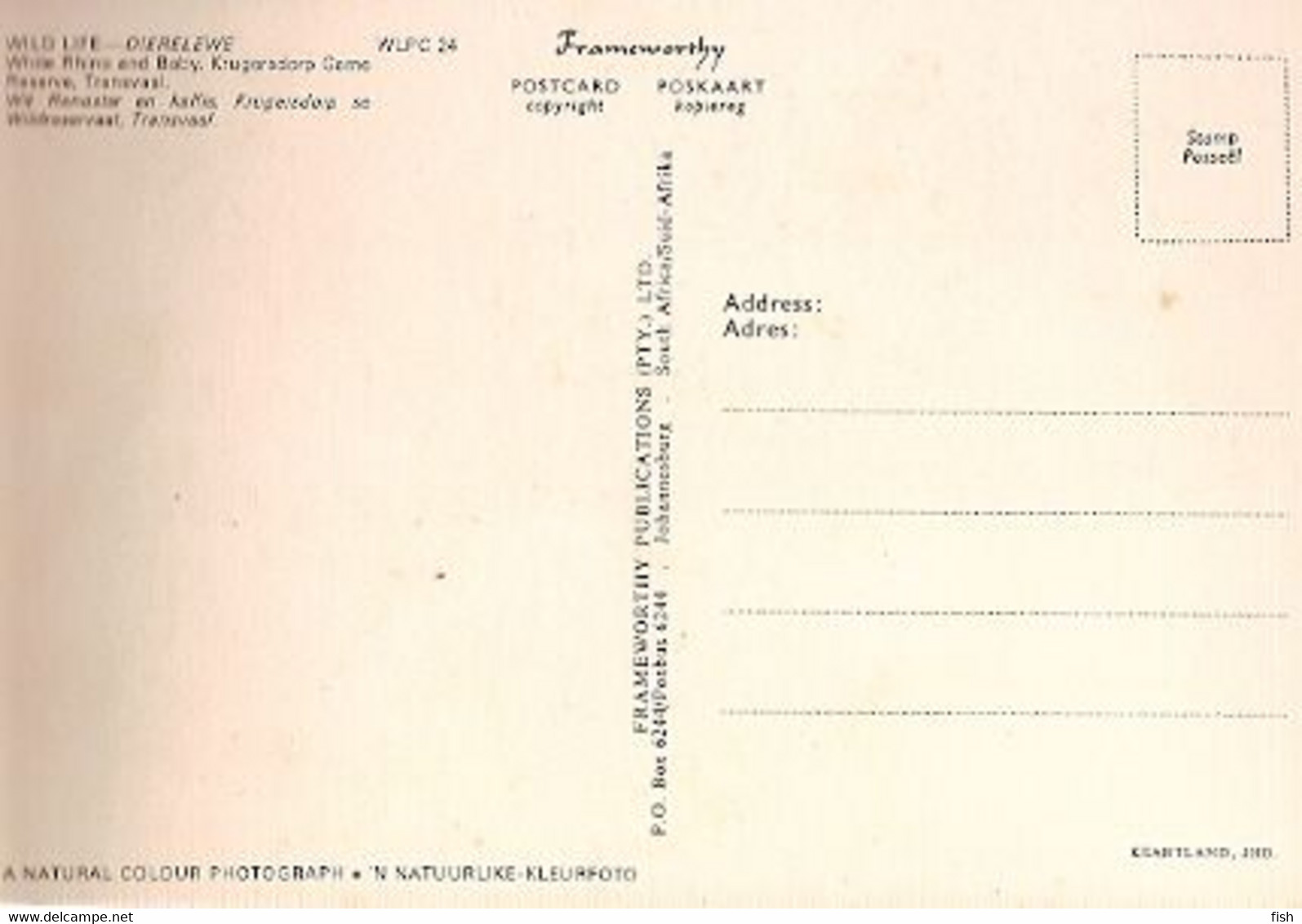 Mozambique & Maximum Card, Fauna, White Rhino And Baby, Rinoceronte,  Rhinocerontidae, Chitengo 1976 (24) - Rhinoceros