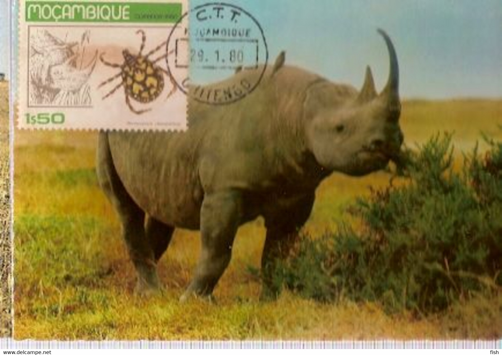 Mozambique & Maximum Card, Fauna, Rinoceronte Negro,  Diceros Bicornis, Chitengo 1980  (396) - Rhinozeros