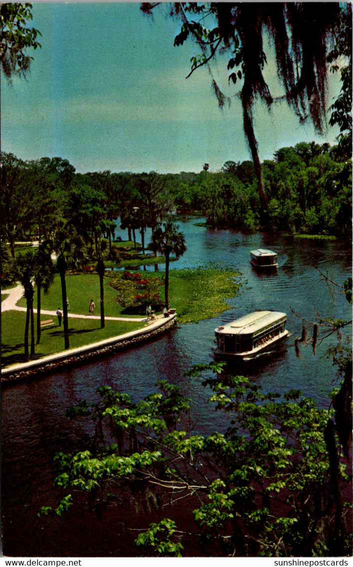 FLorida Silver Springs Glass Bottom Boats On Silver River - Silver Springs
