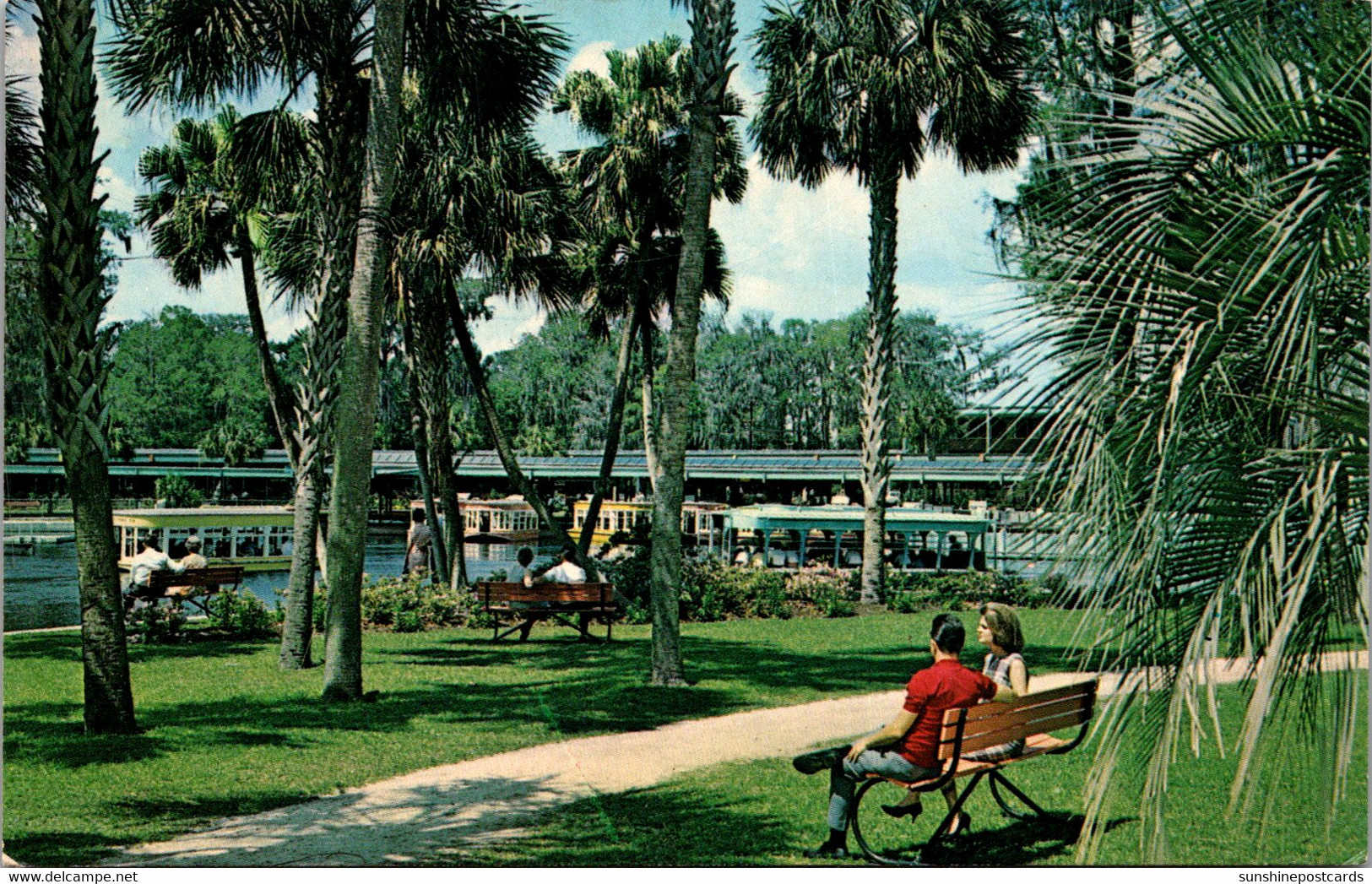 FLorida Silver Springs Landscaped Park Along Spring Basin - Silver Springs