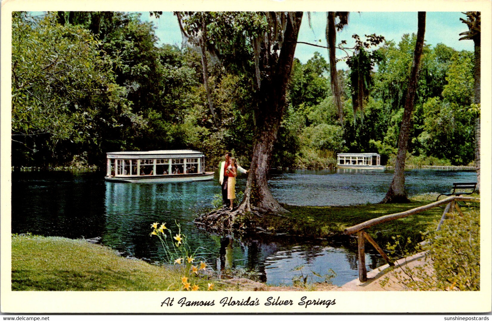Florida Silver Springs Glass Bottom Boats On Silver River - Silver Springs