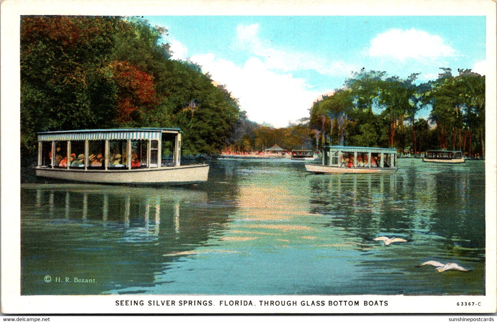 Florida Silver Springs Glass Bottom Boats Curteich - Silver Springs