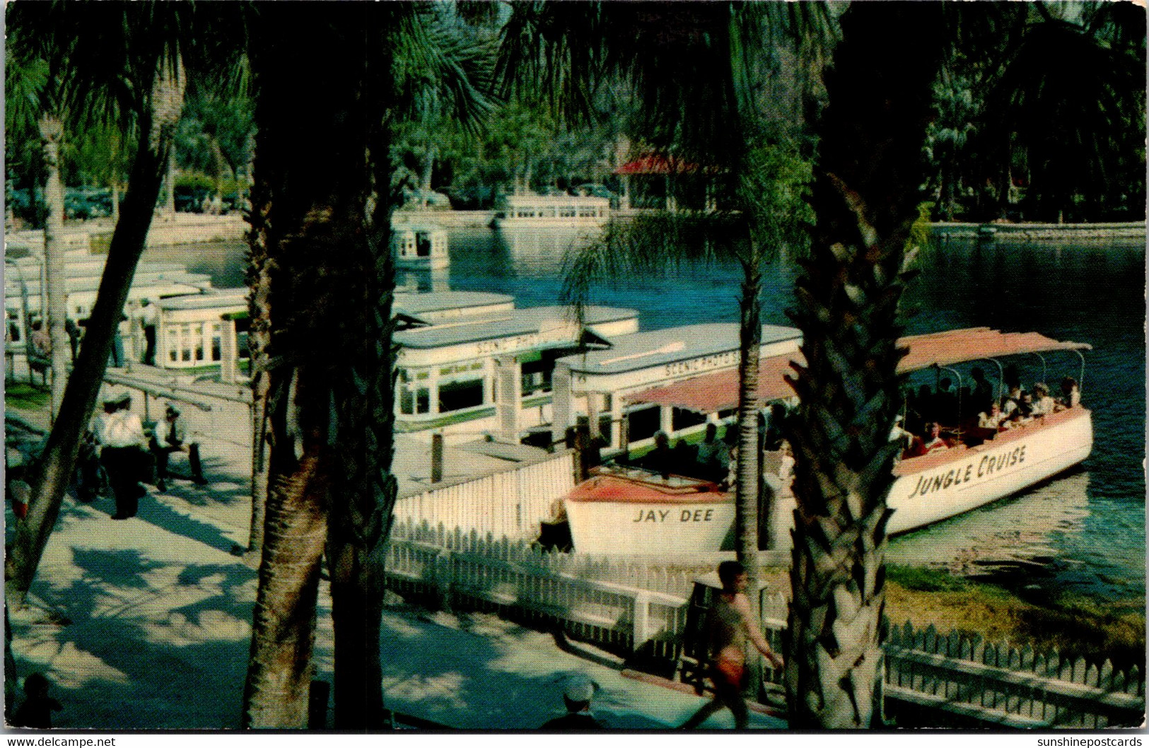 Florida Silver Springs Glass Bottom Boats - Silver Springs