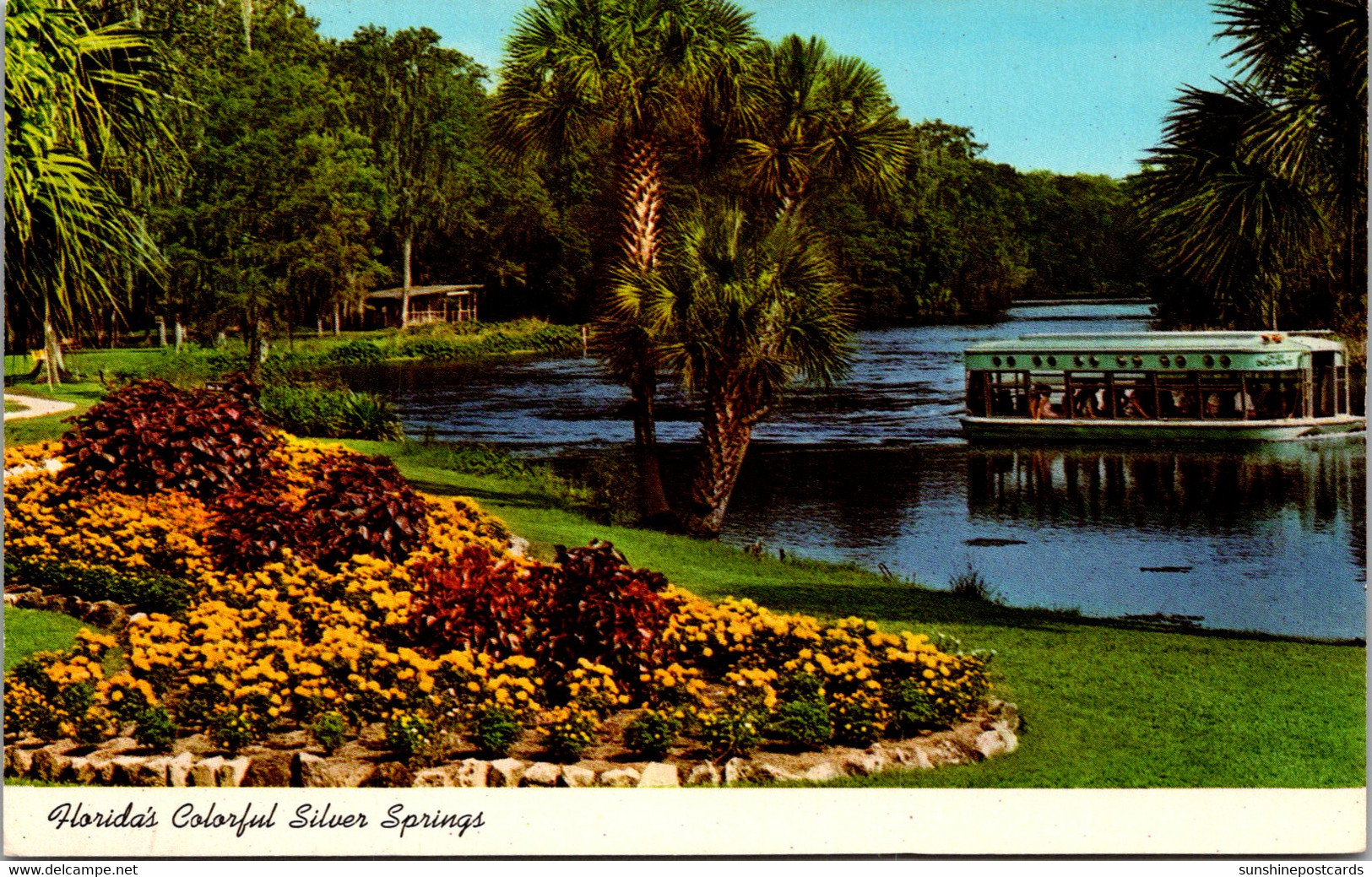 Florida Silver Springs Glass Bottom Boats On Silver River - Silver Springs